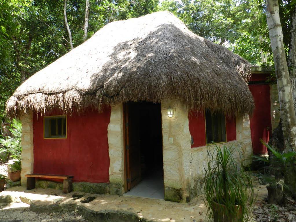 Organic Yoga Mexico