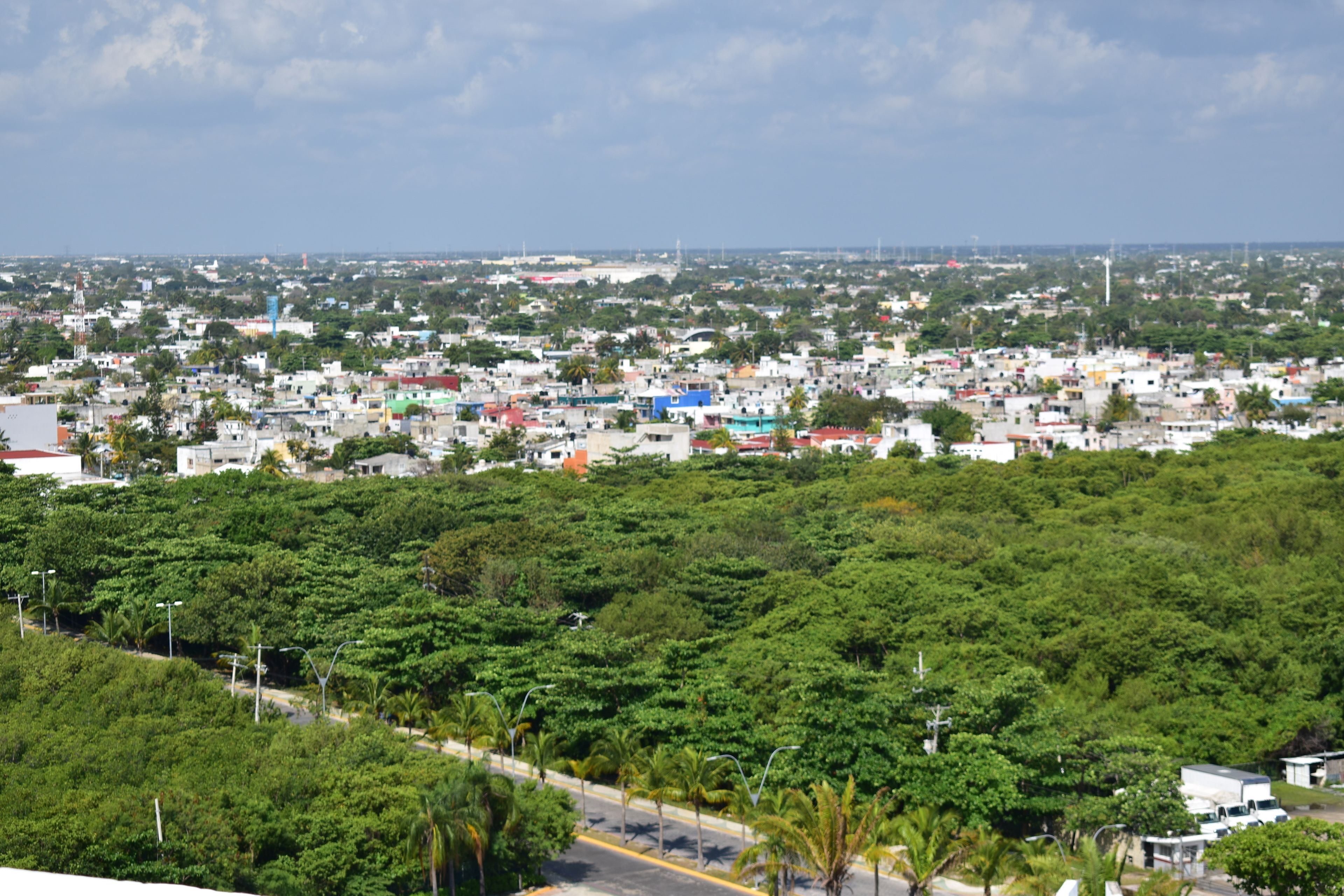 Bahari