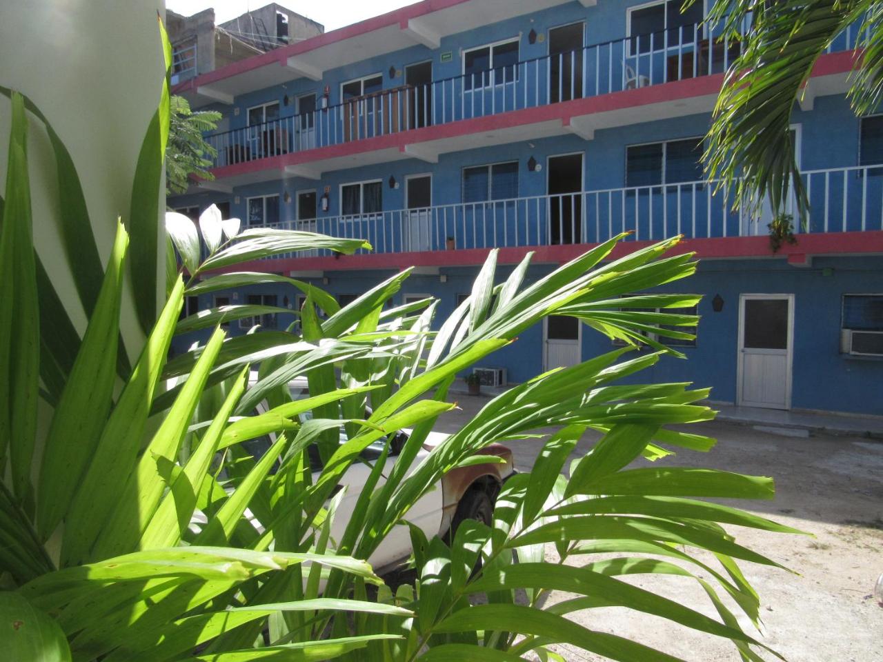 Blue Coconut Cancun