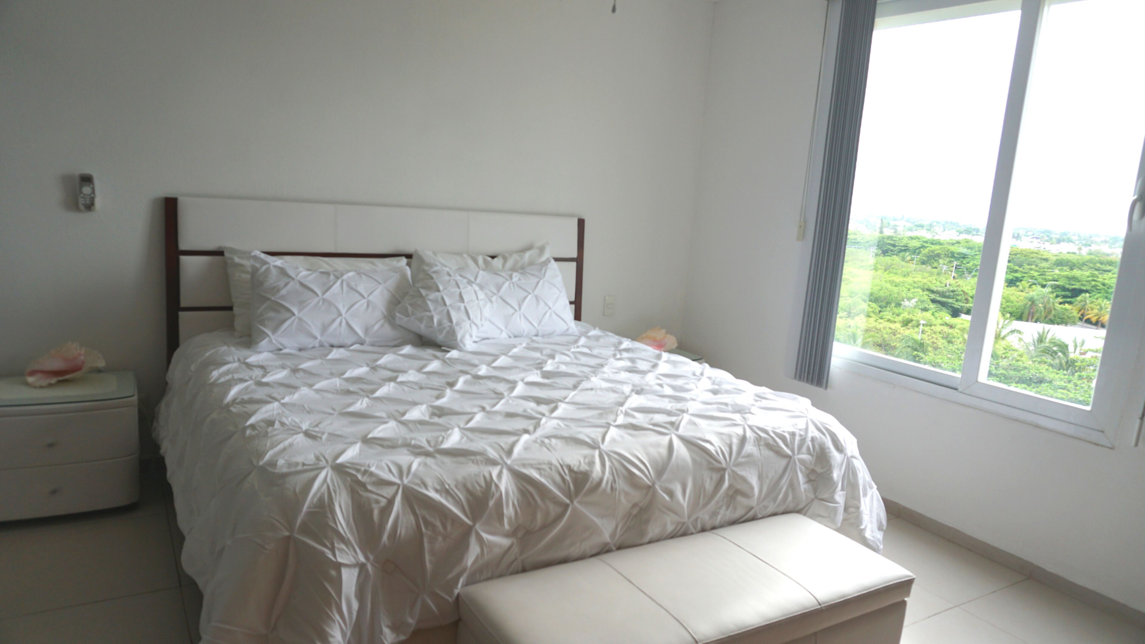 Caribe Beachfront 2 BR - Incredible Oceanview
