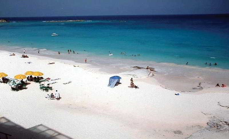 Salvia Cancún