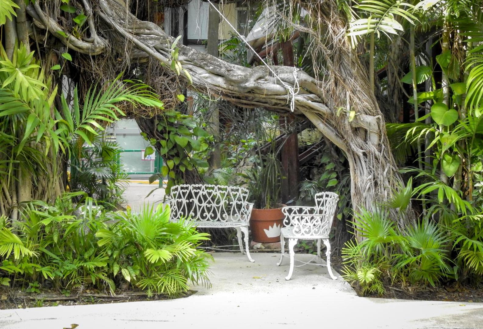 Eco-hotel El Rey del Caribe