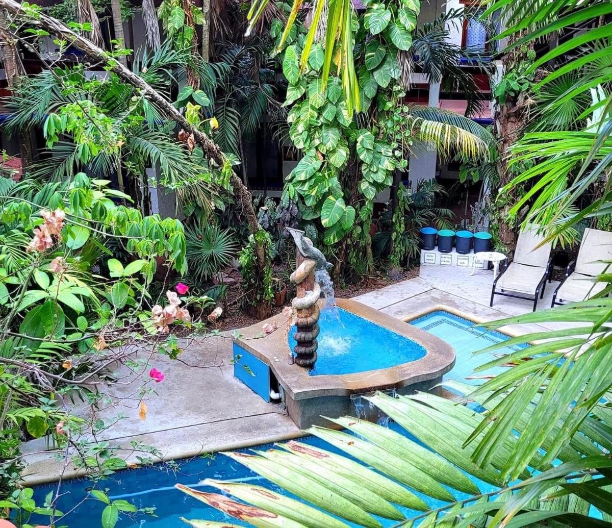Eco-hotel El Rey del Caribe