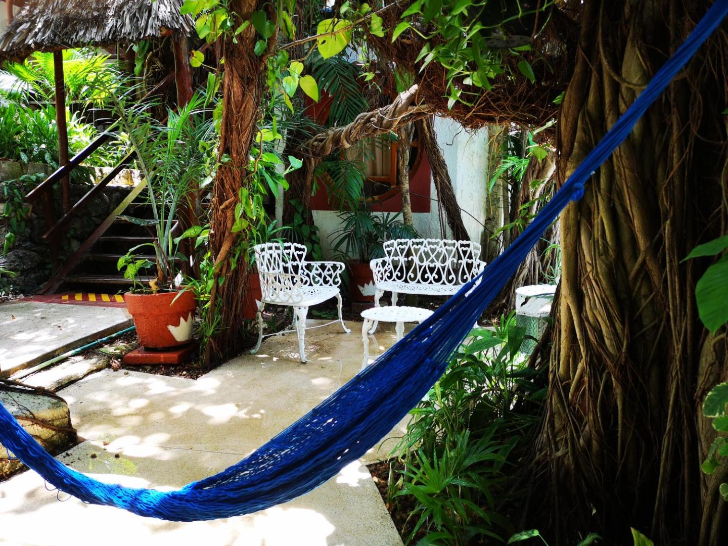 Eco-hotel El Rey del Caribe