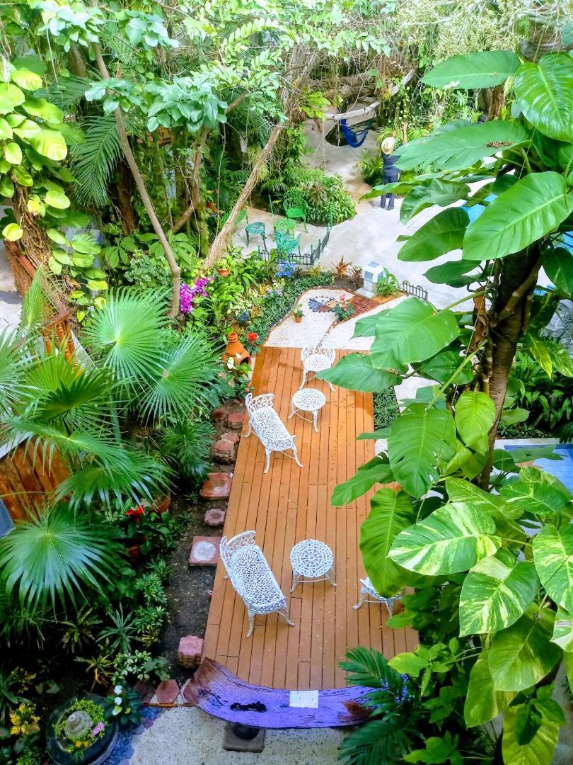 Eco-hotel El Rey del Caribe