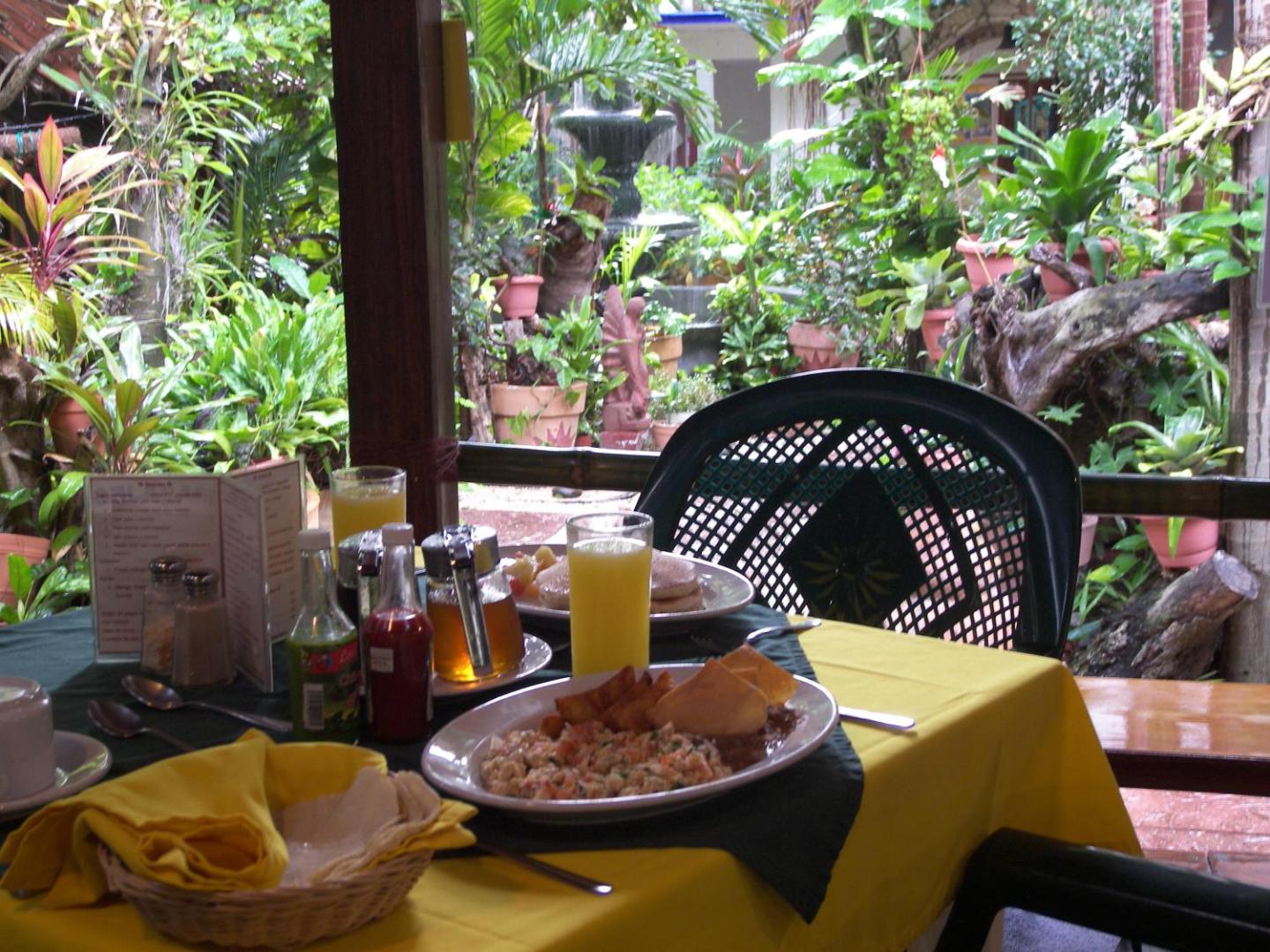 Eco-hotel El Rey del Caribe