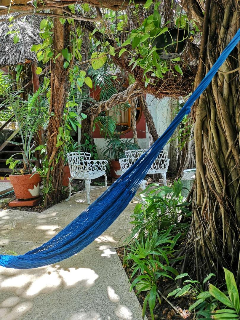 Eco-hotel El Rey del Caribe