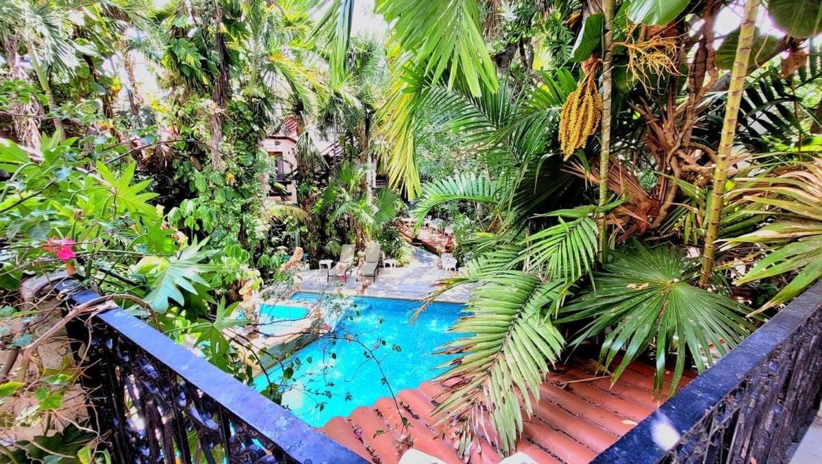 Eco-hotel El Rey del Caribe