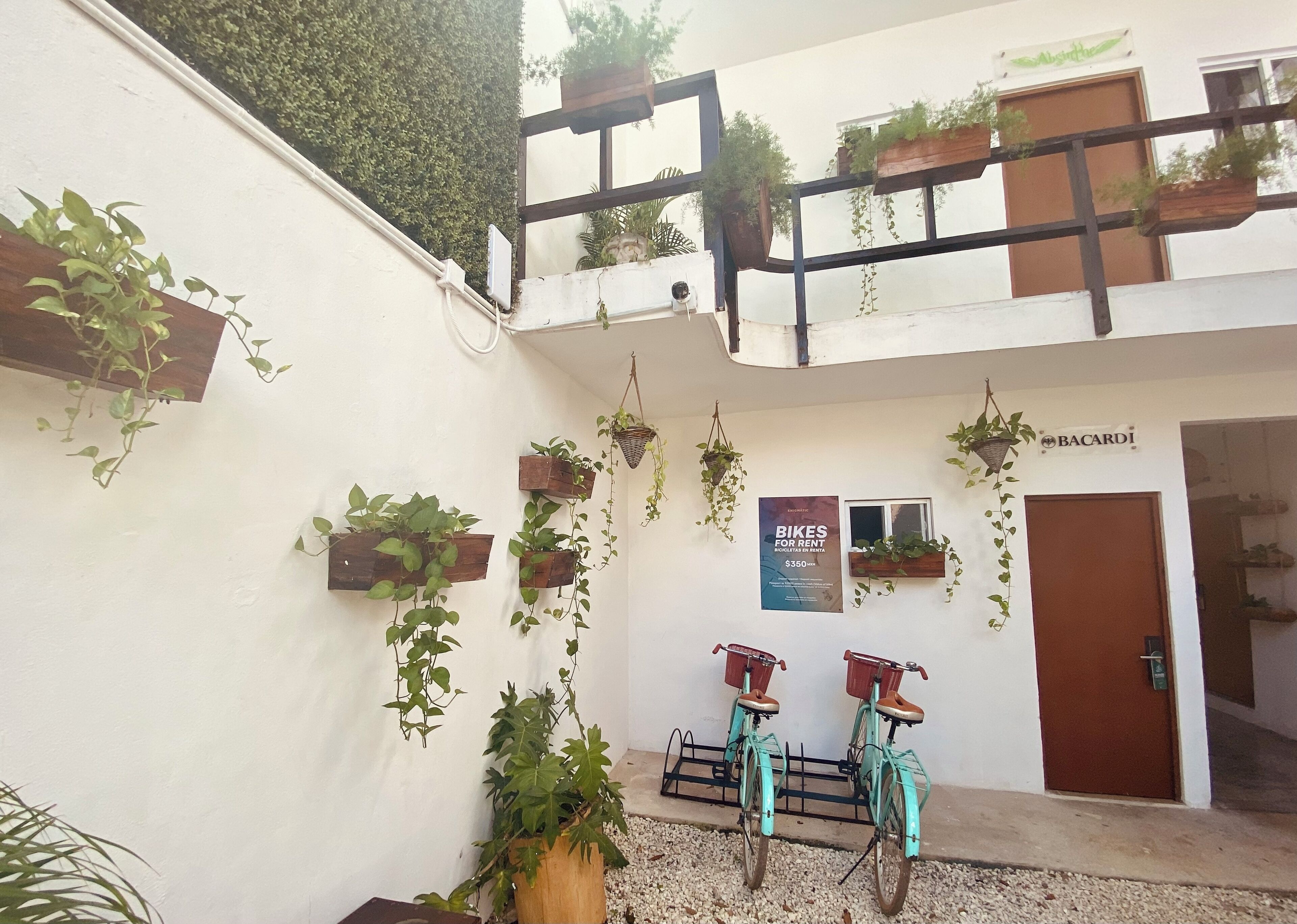 Enigmatic Hotel Experience