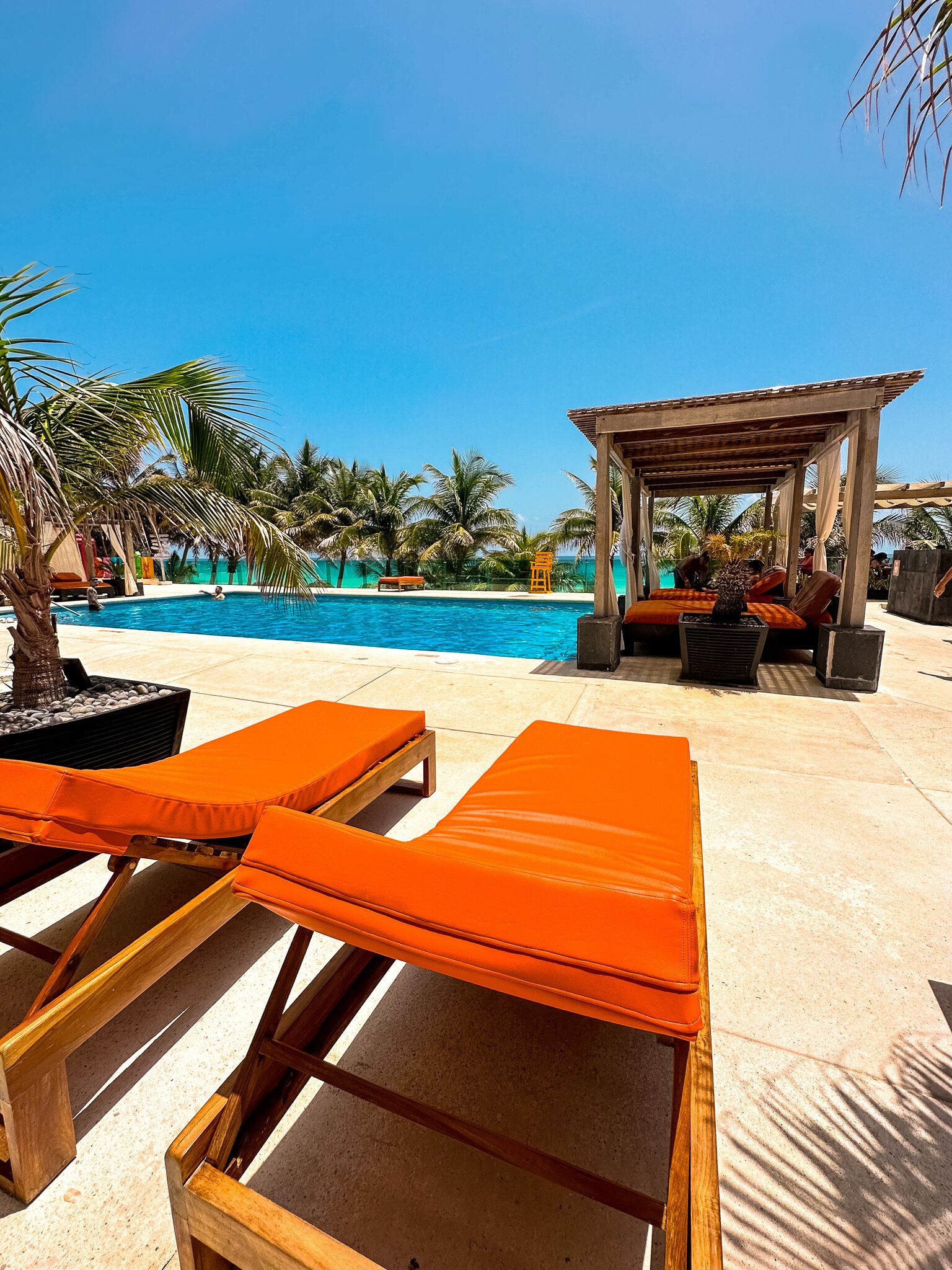 Flamingo Cancun Resort