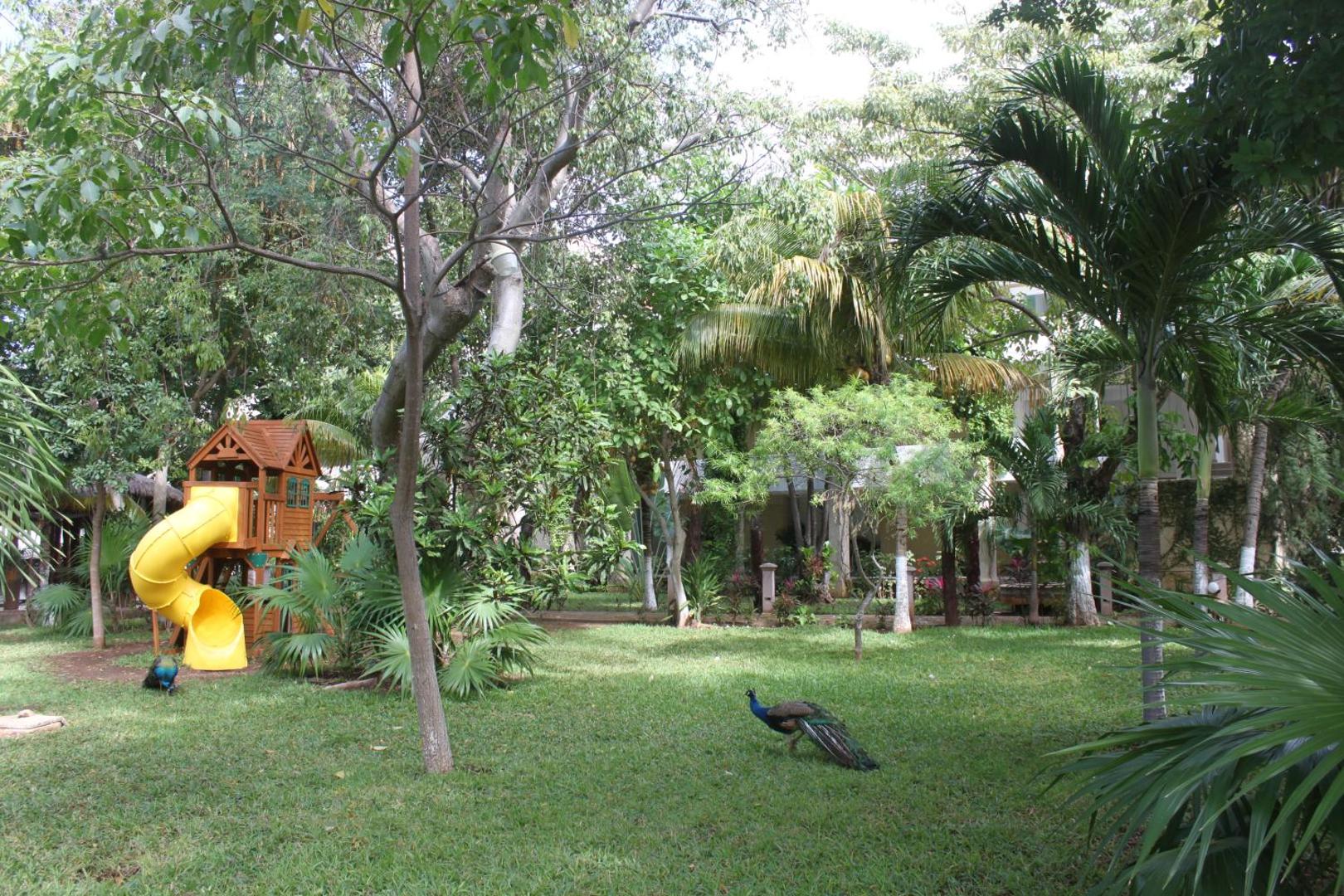 Hotel Plaza Caribe