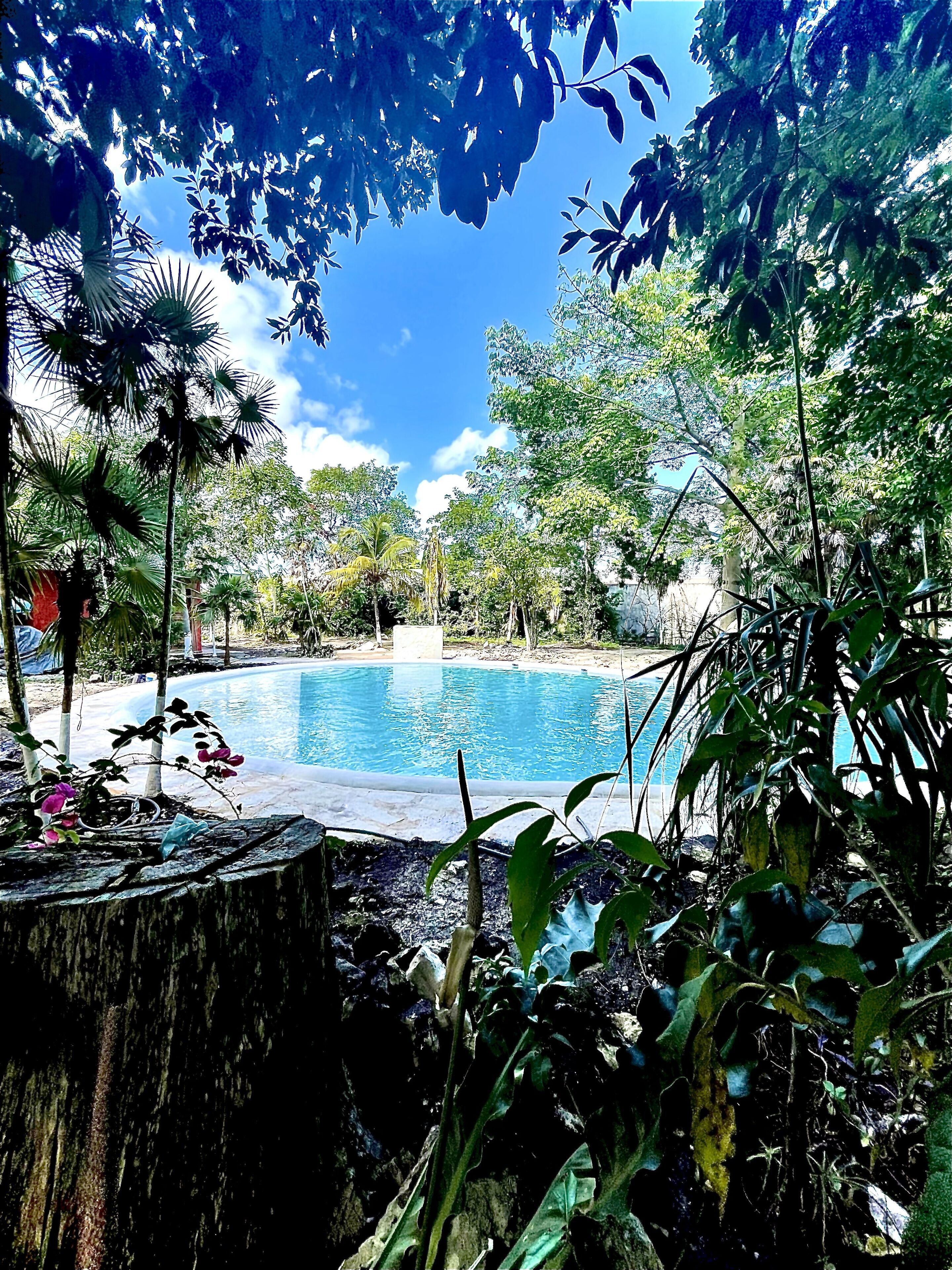 Hotel Tequila Cancun