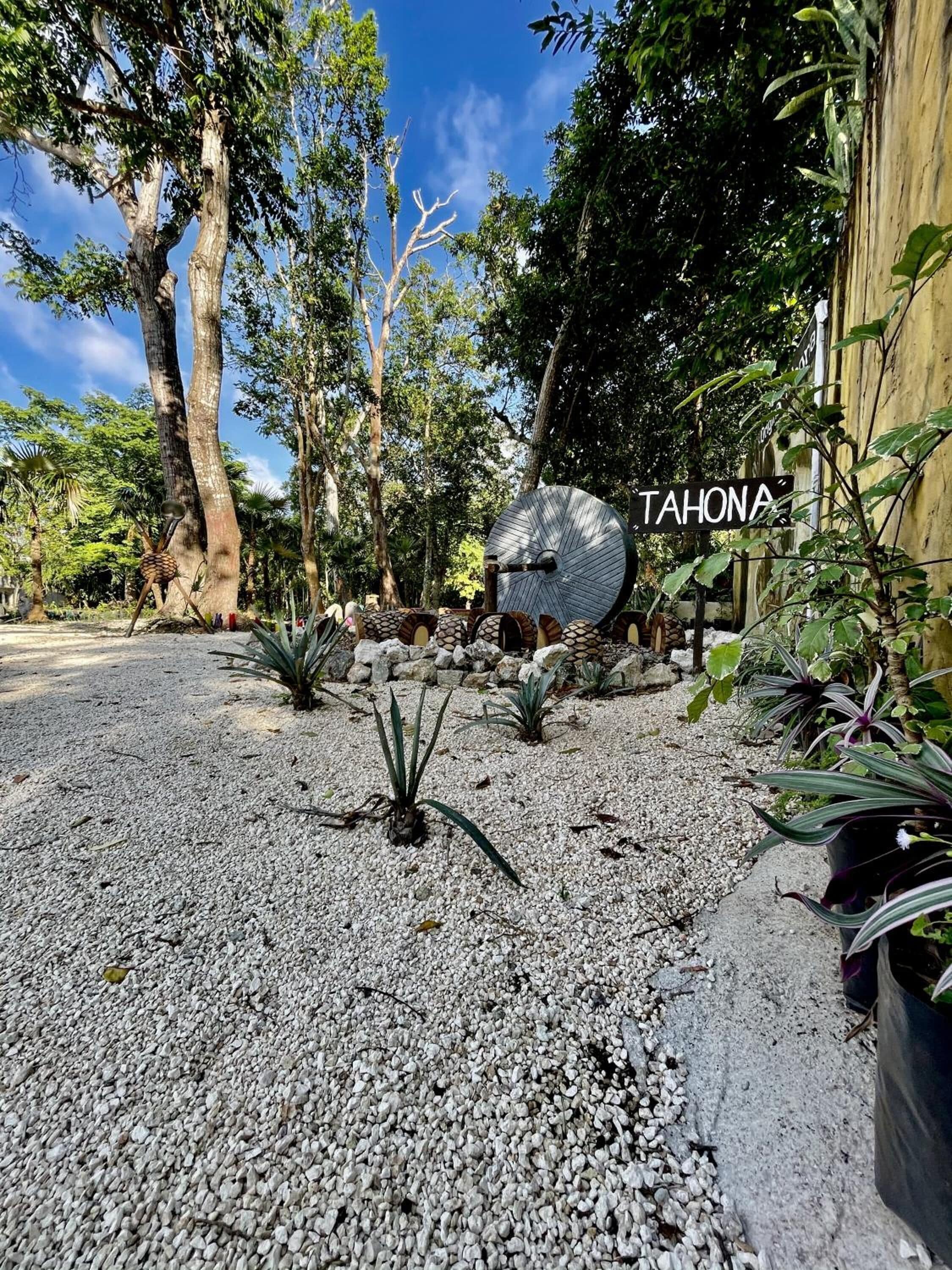 Hotel Tequila Cancun