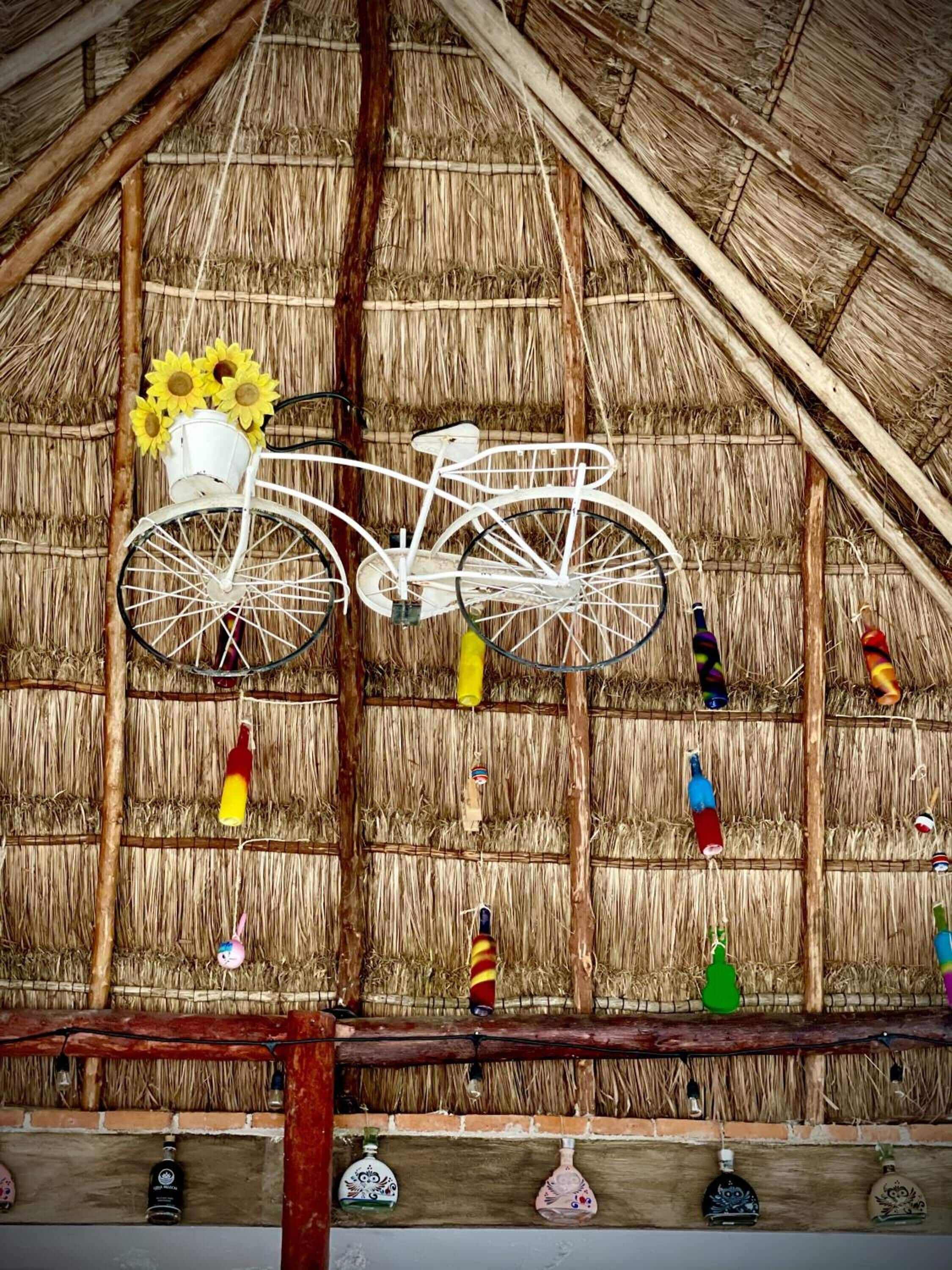 Hotel Tequila Cancun