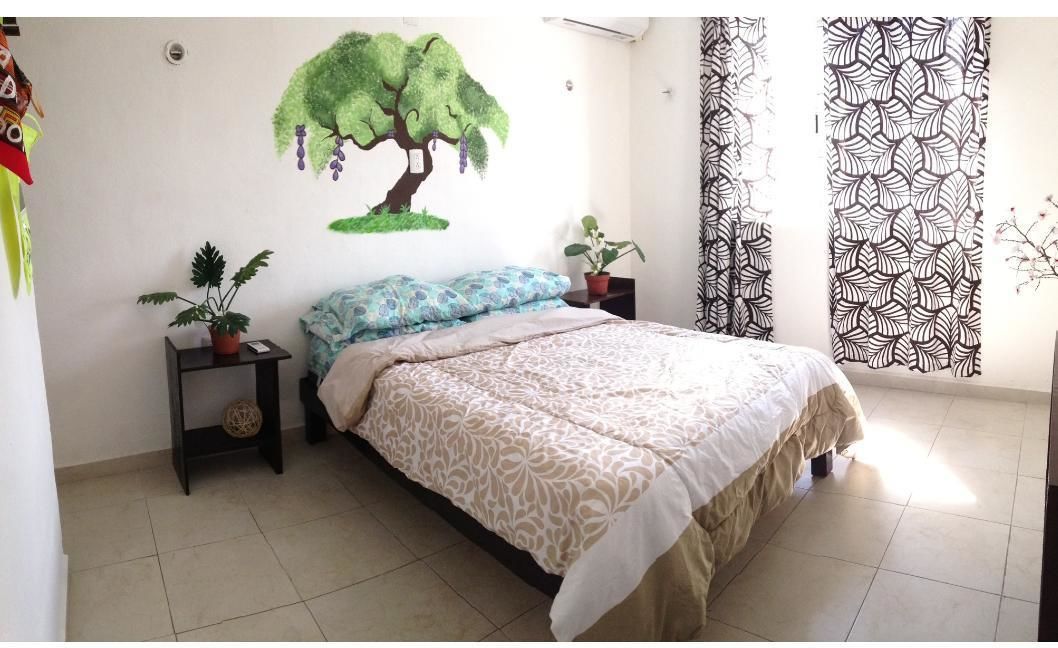 La Casa Del Arbol