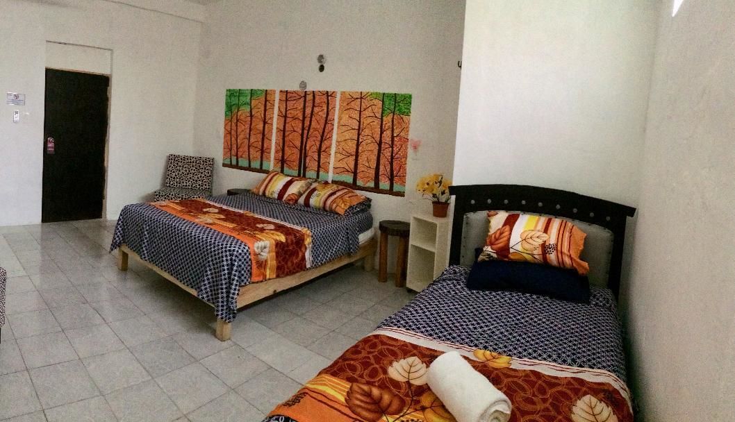 La Casa Del Arbol