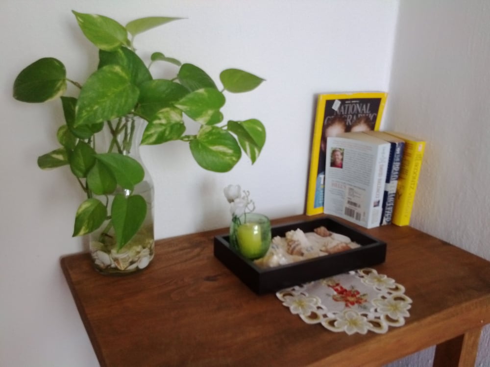 Los Caracoles Bed & Breakfast