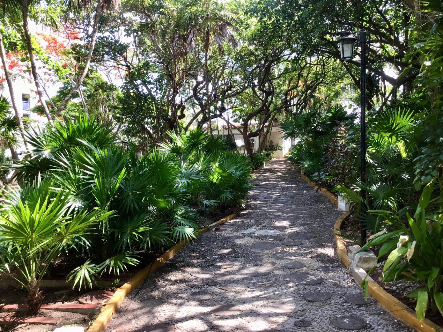 Hotel Faranda Maya Caribe Cancún