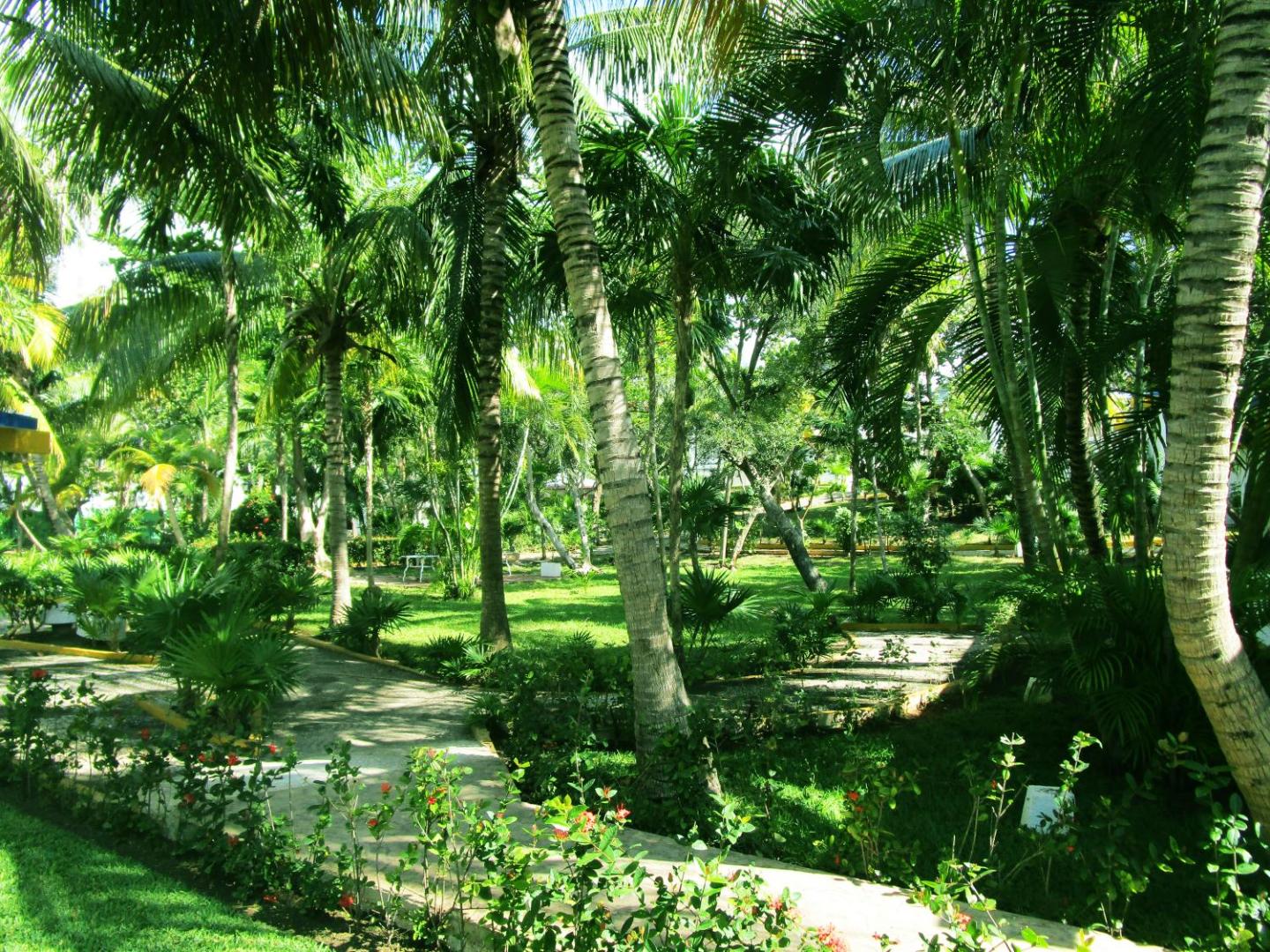 Hotel Faranda Maya Caribe Cancún