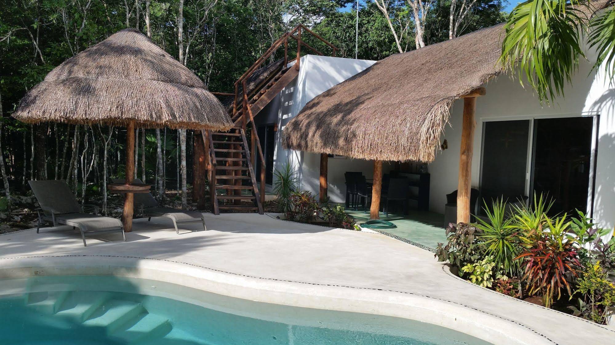Pura Vida Cancun