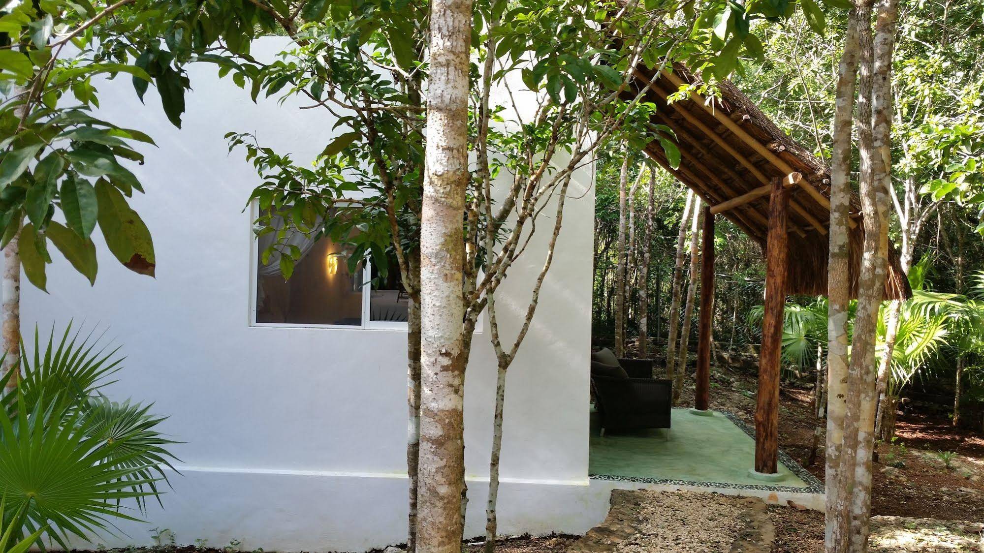Pura Vida Cancun