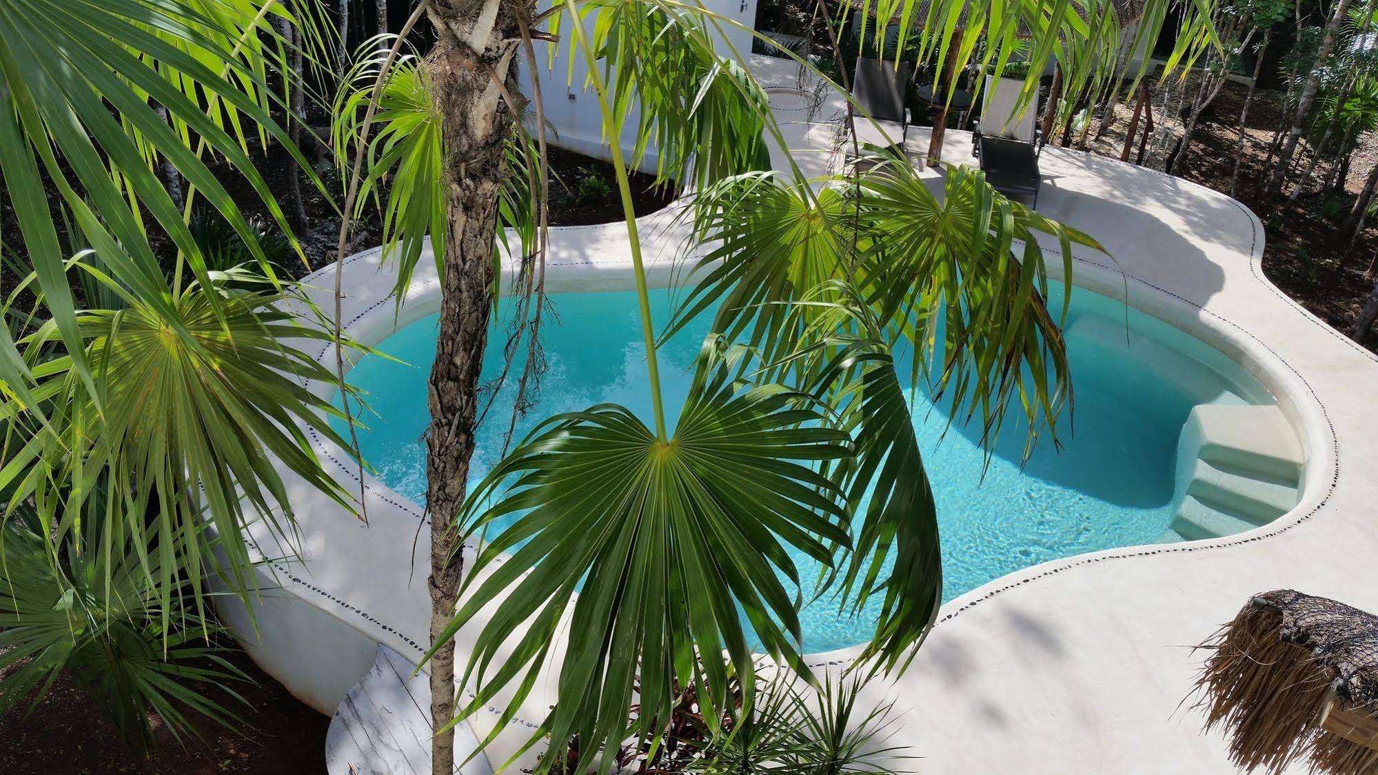 Pura Vida Cancun