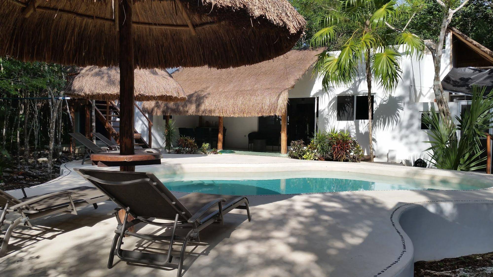 Pura Vida Cancun