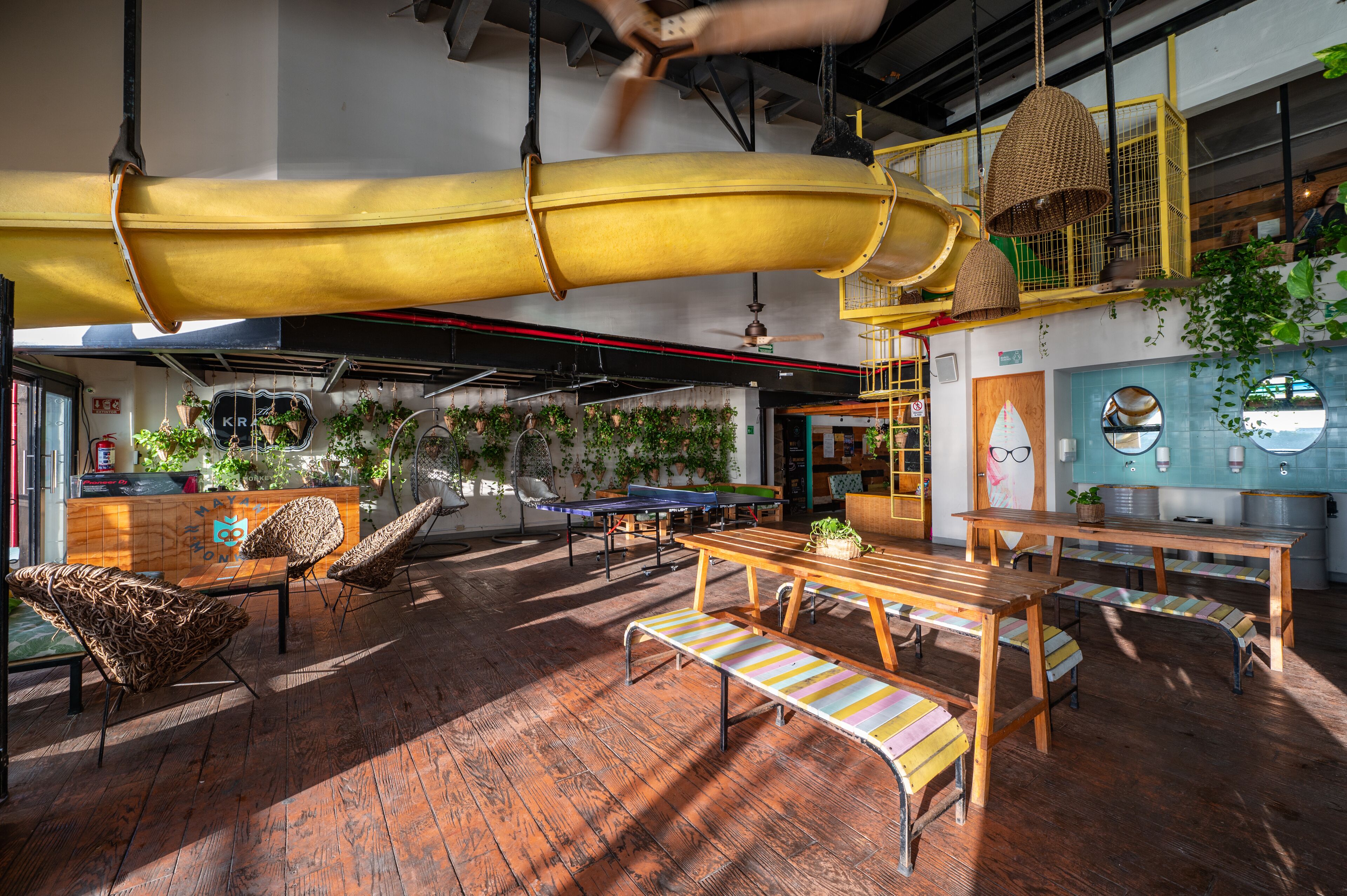 Mayan Monkey Hostel & Bar