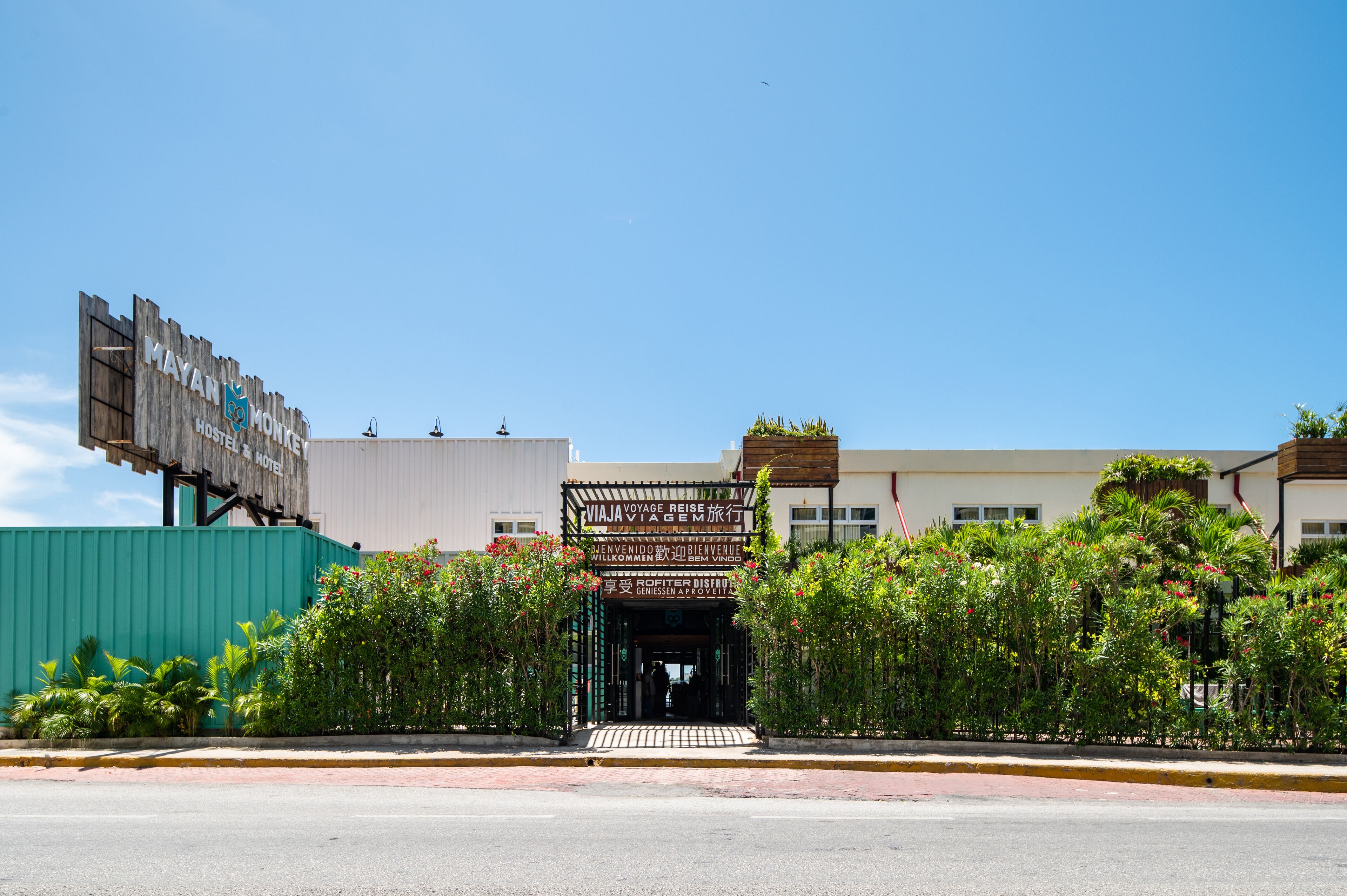 Mayan Monkey Hostel & Bar