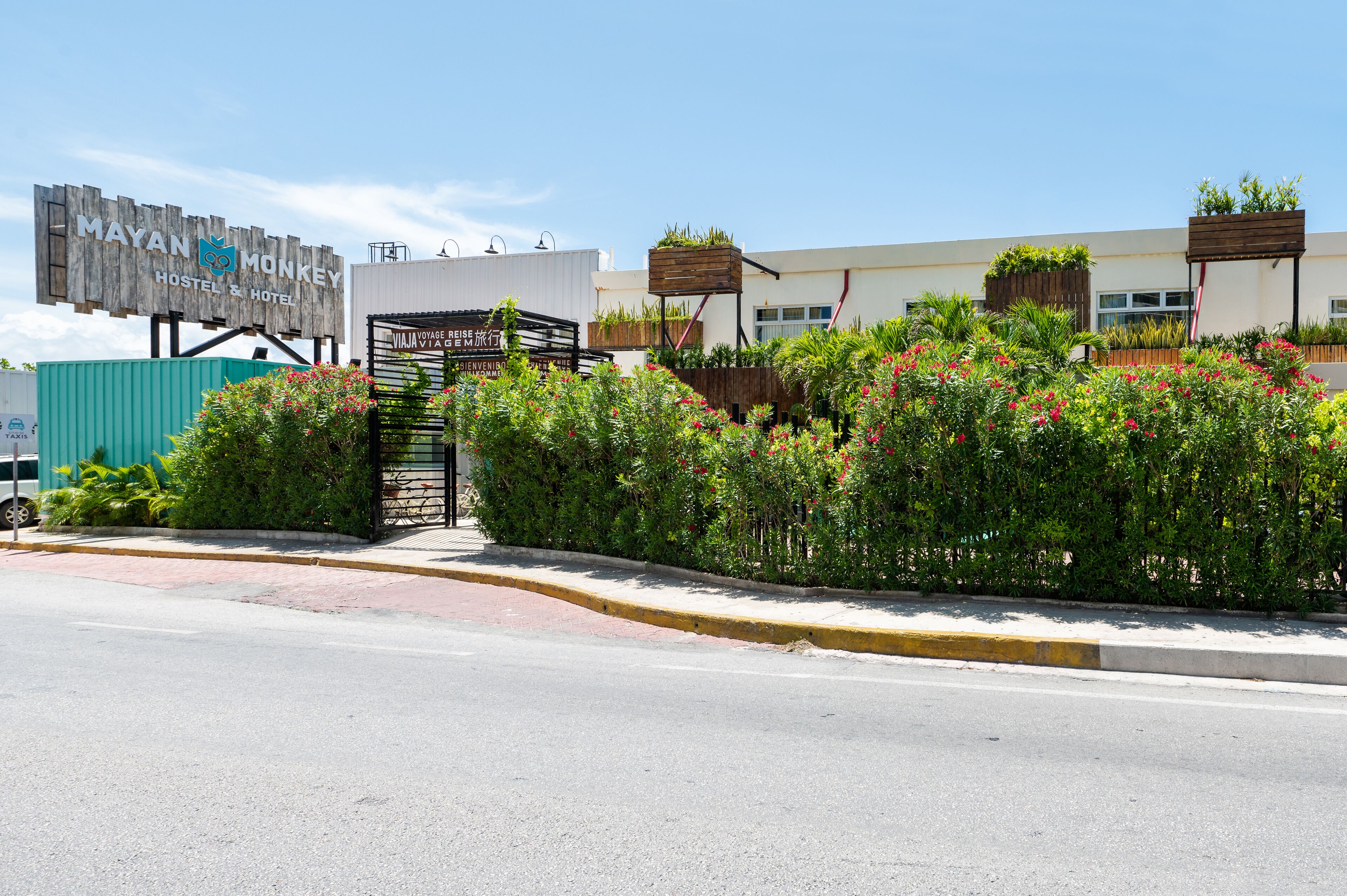Mayan Monkey Hostel & Bar