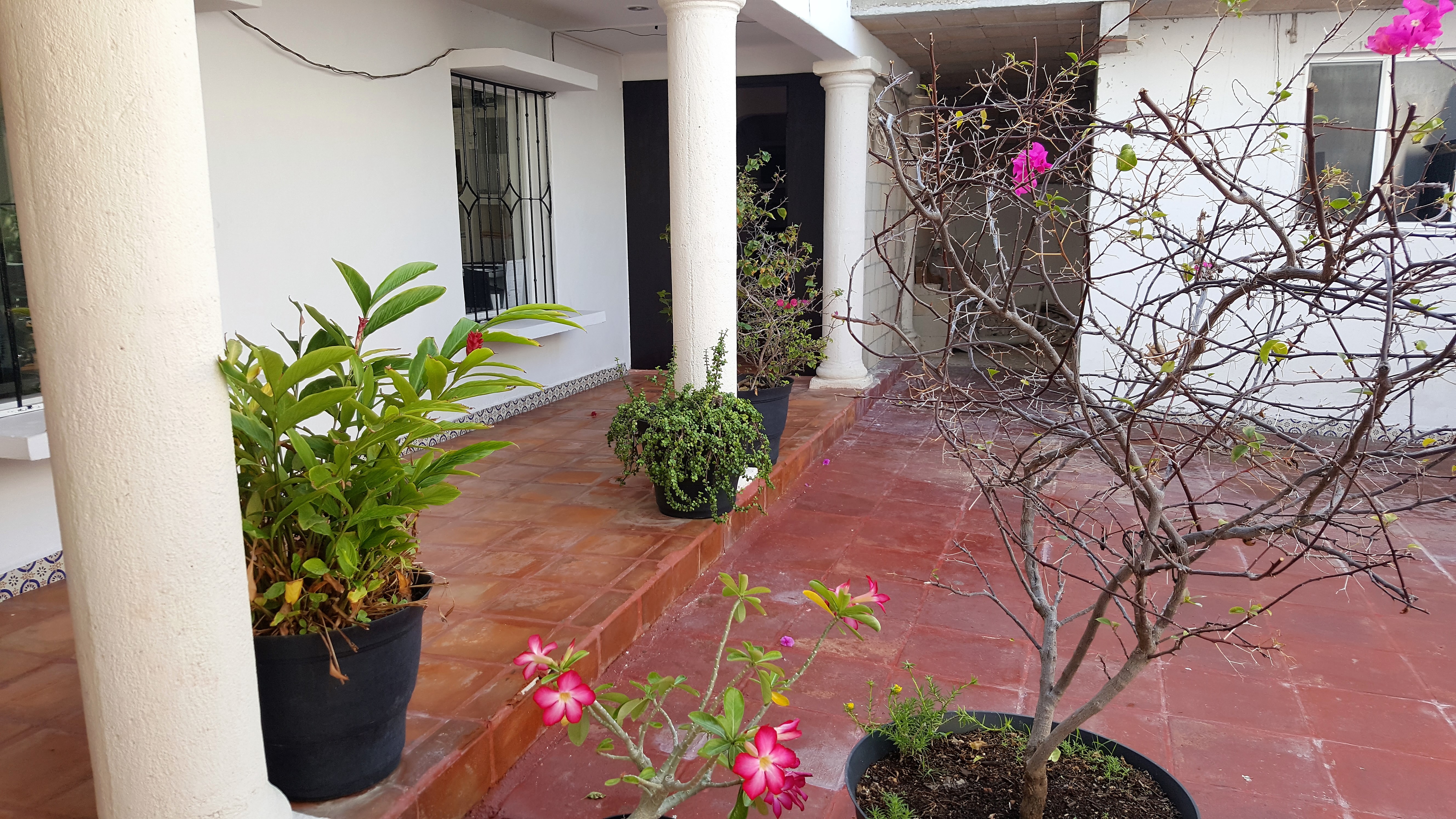 Suites Rosas