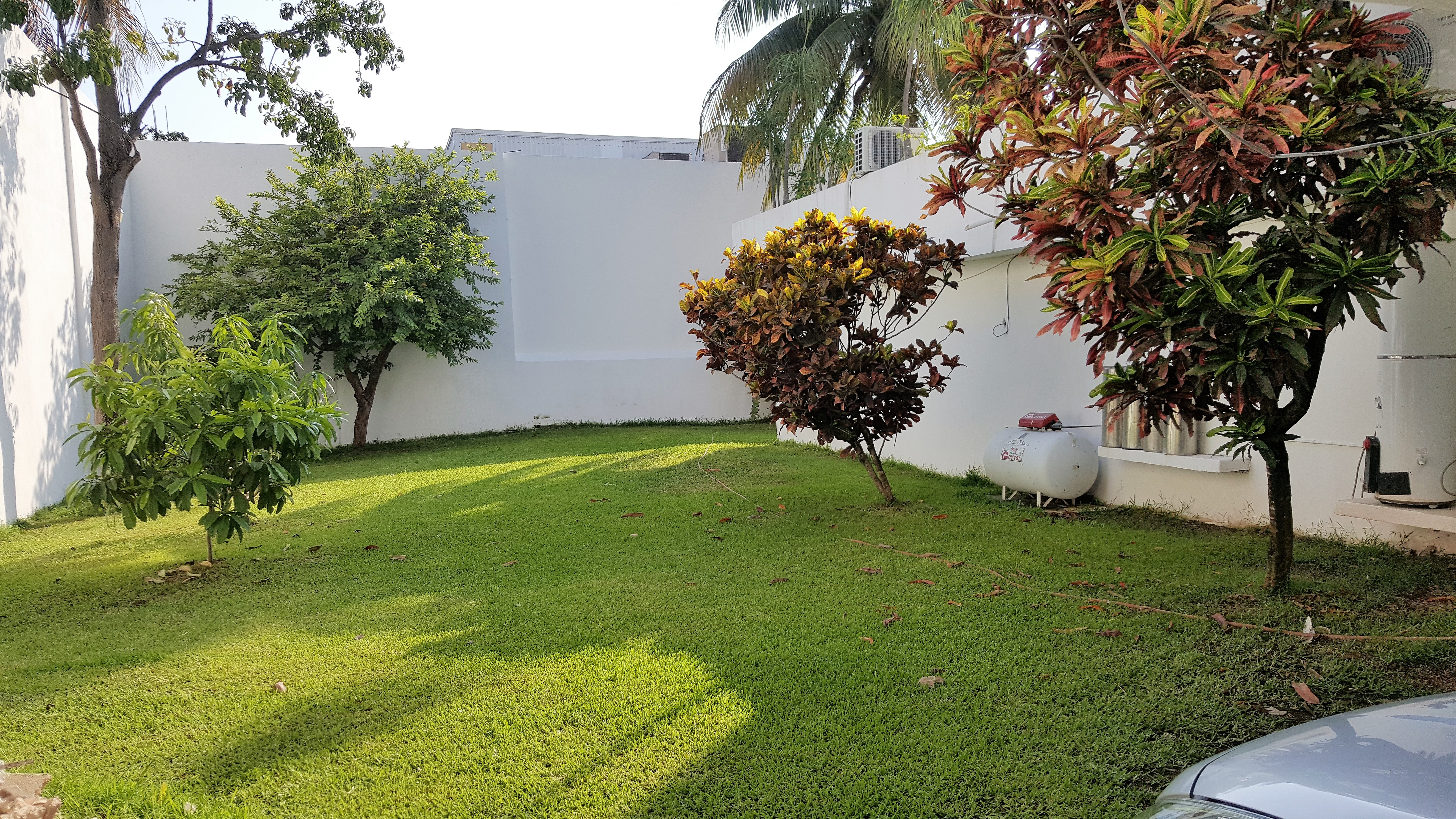 Suites Rosas