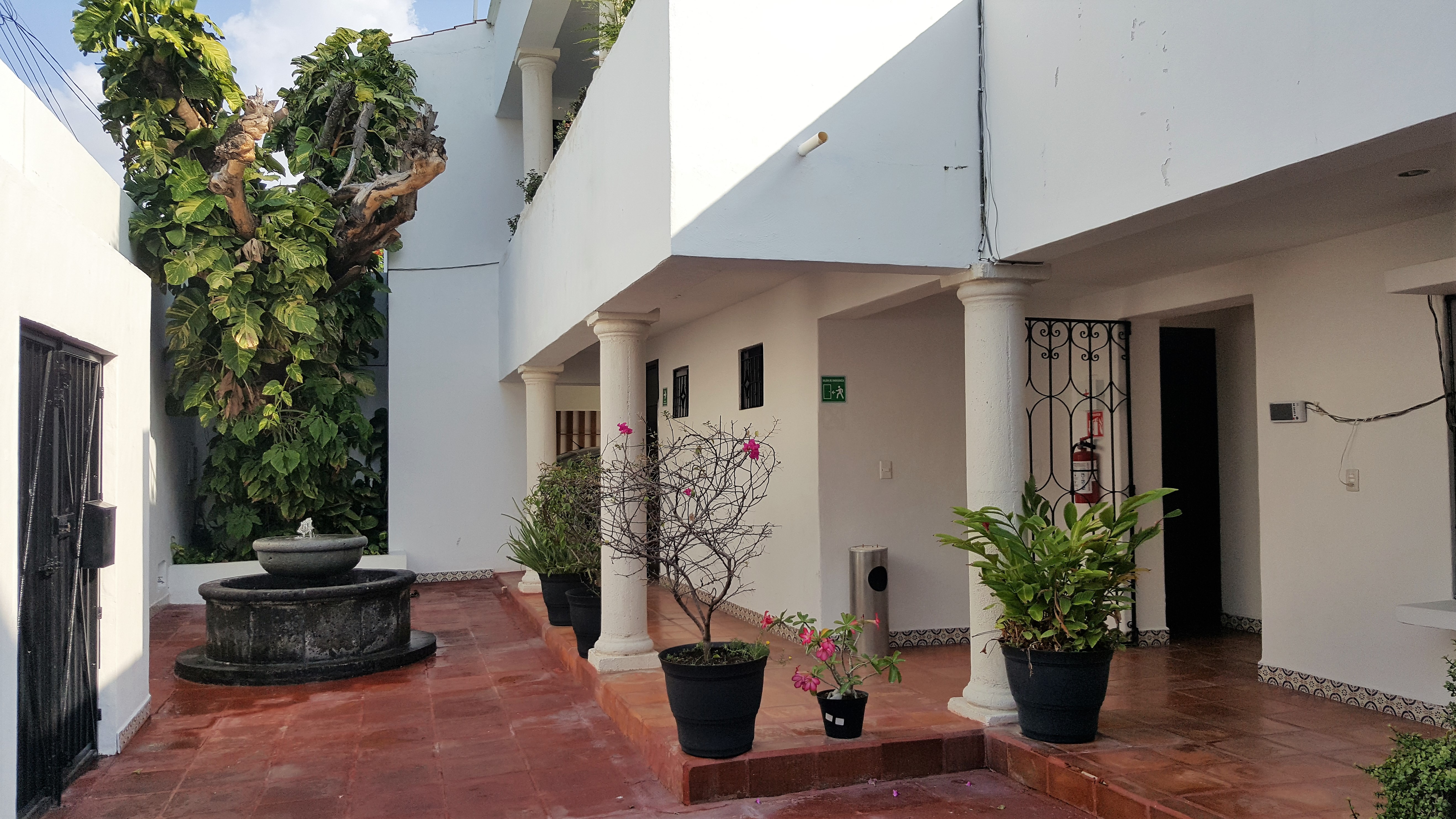 Suites Rosas