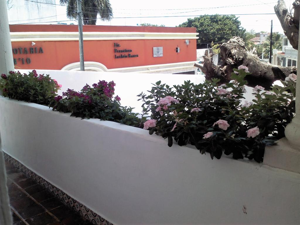 Suites Rosas