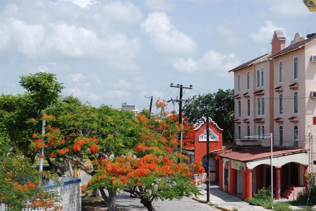 Hotel Tankah