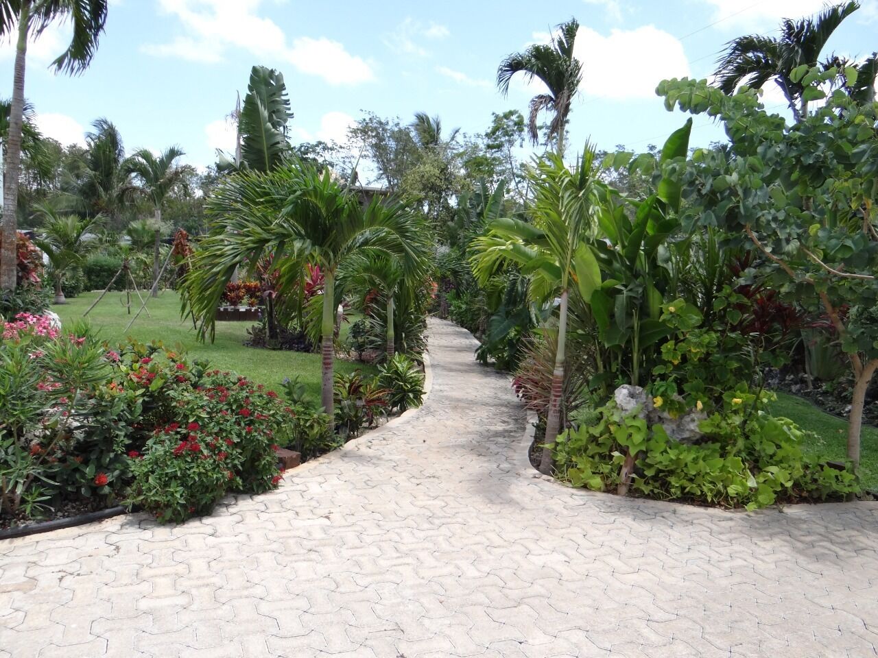 Tsaakik Jungle Hotel & Spa