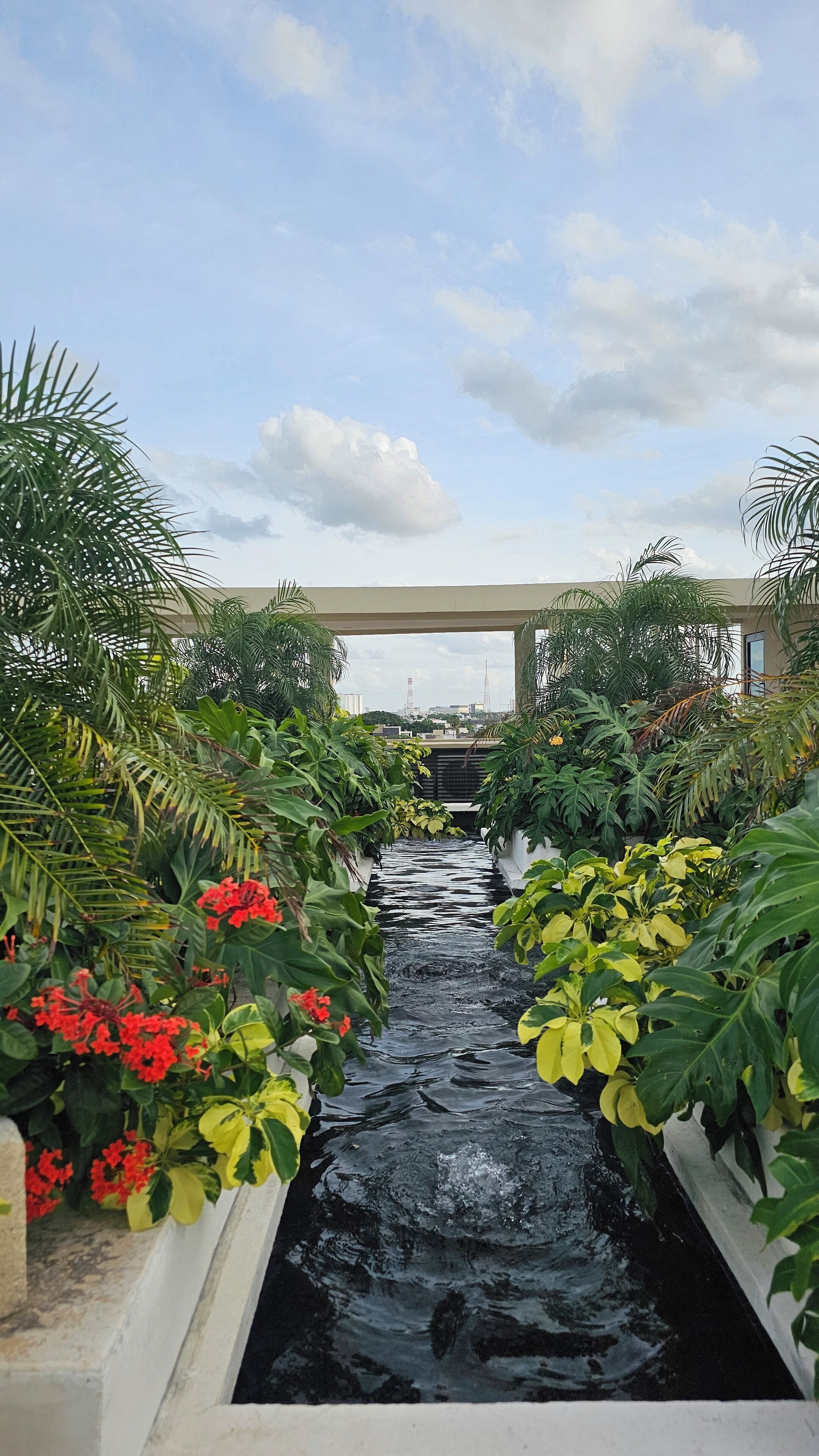Xoza Cancún