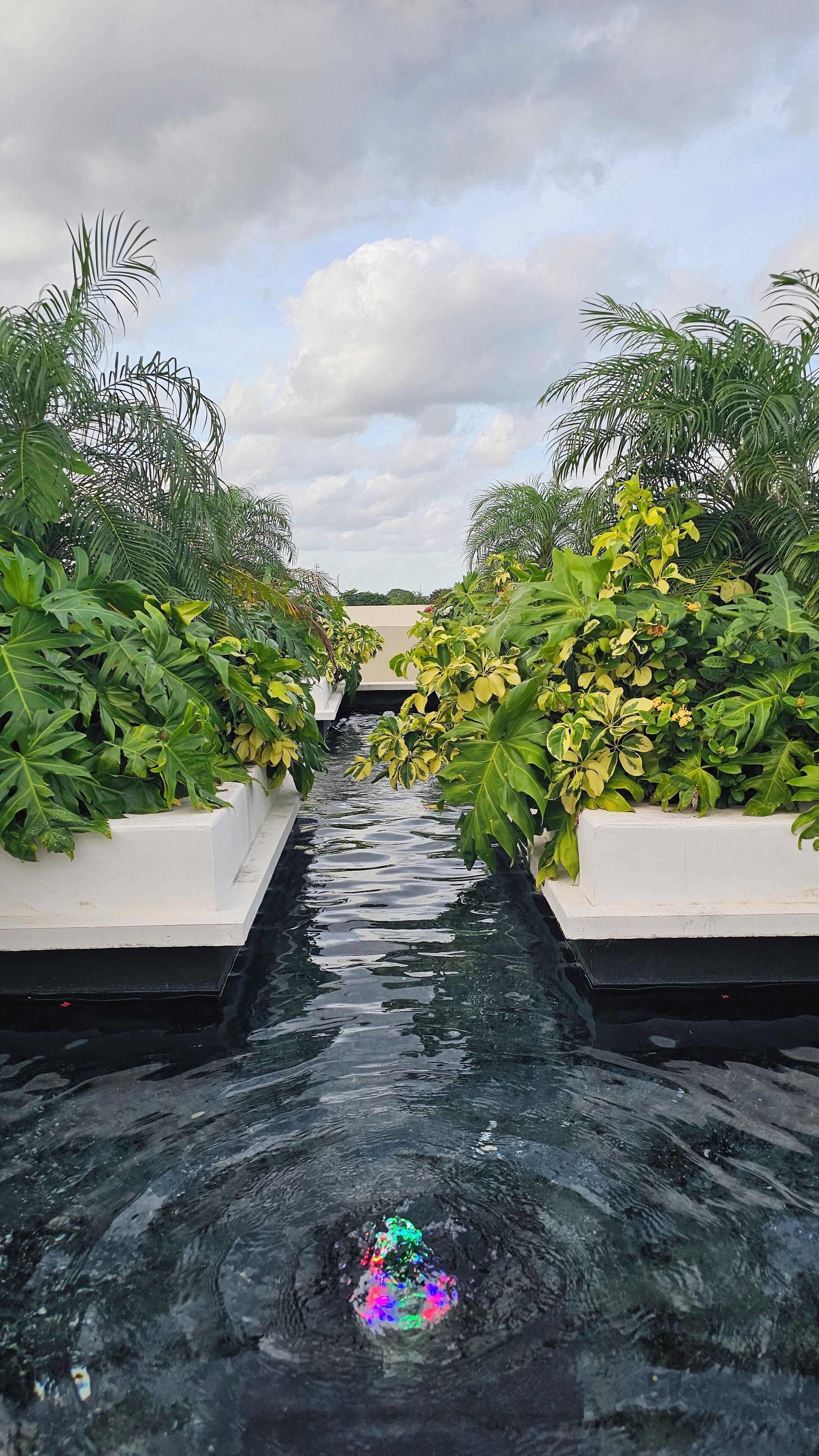 Xoza Cancún