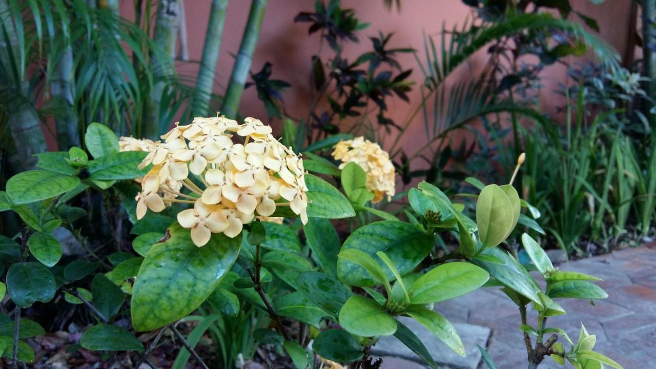 Hacienda San Miguel Hotel & Suites