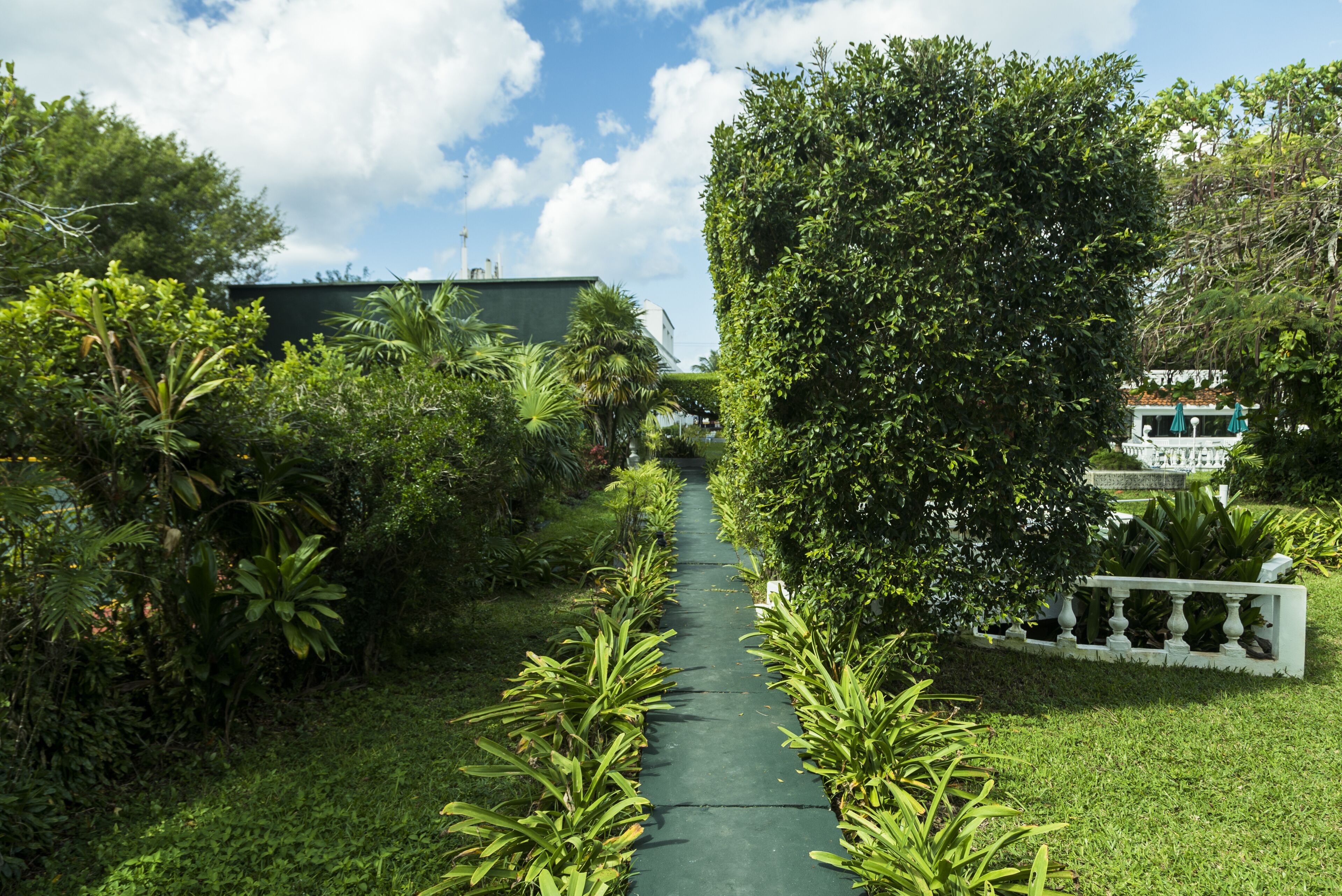 Villa Blanca Garden Beach