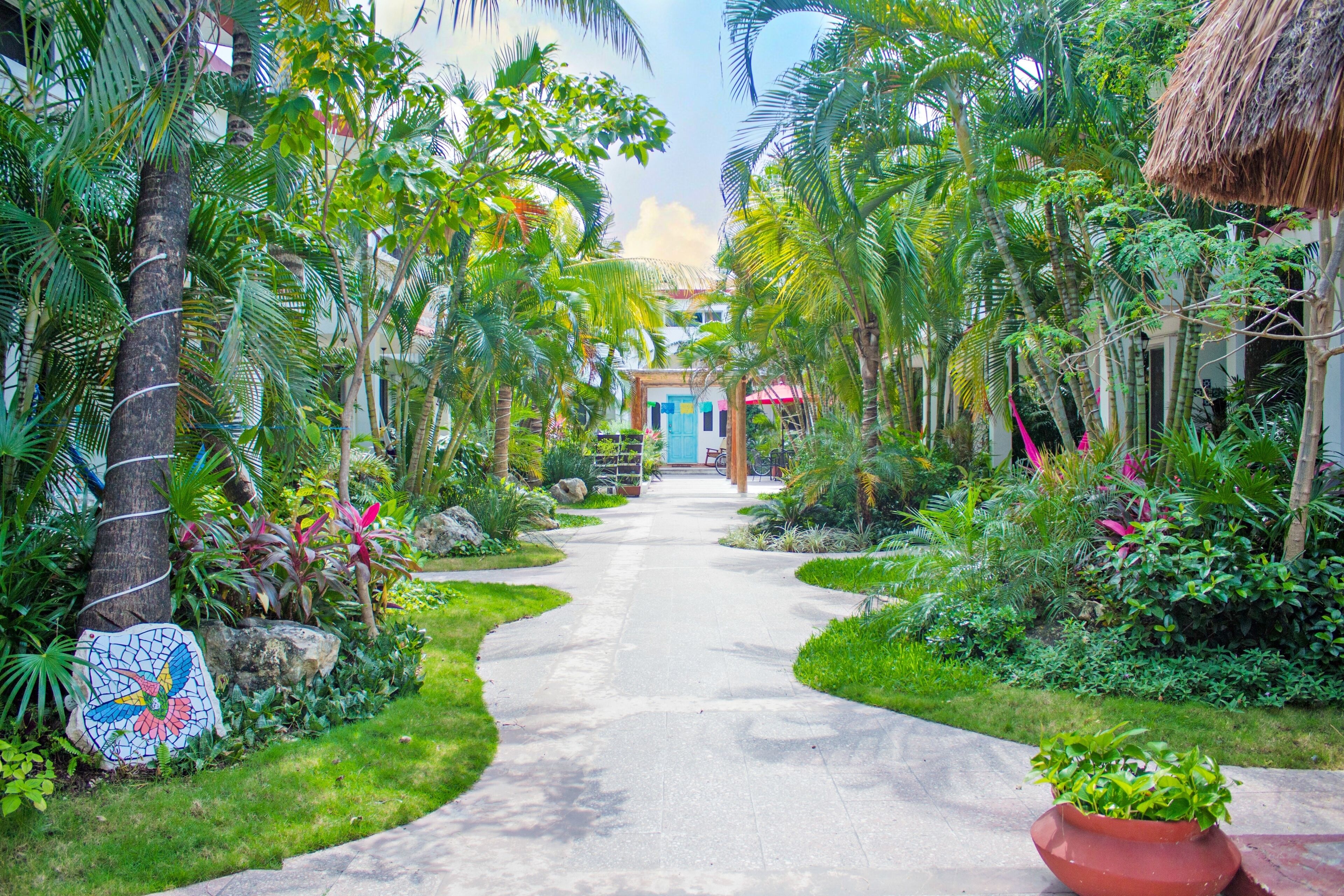 Villas Colibrí Cozumel