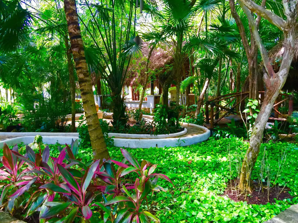 Amarte Maroma Hotel Eco Boutique Spa