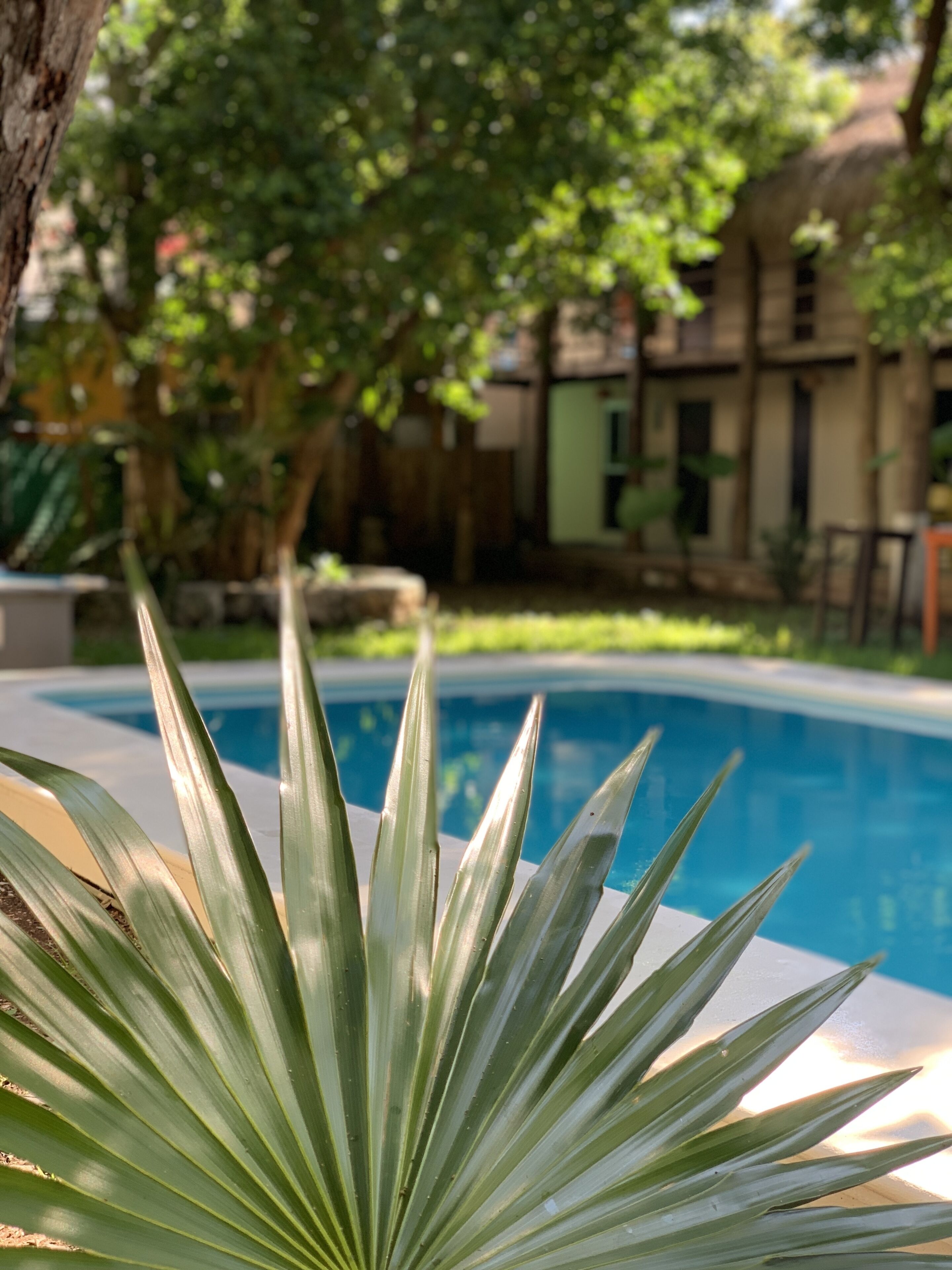 Ammare Hotel Boutique
