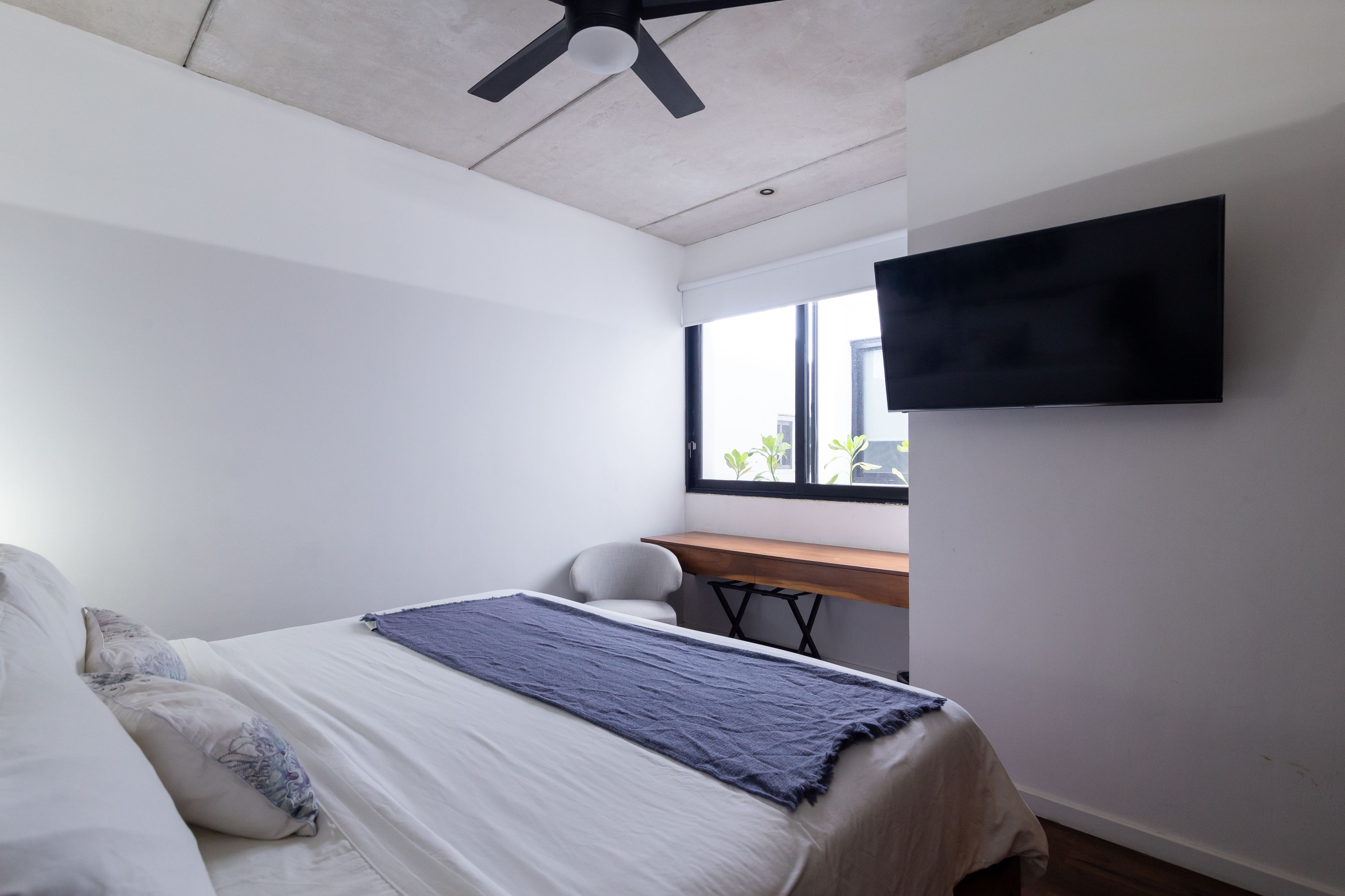 Areca by CocoBR