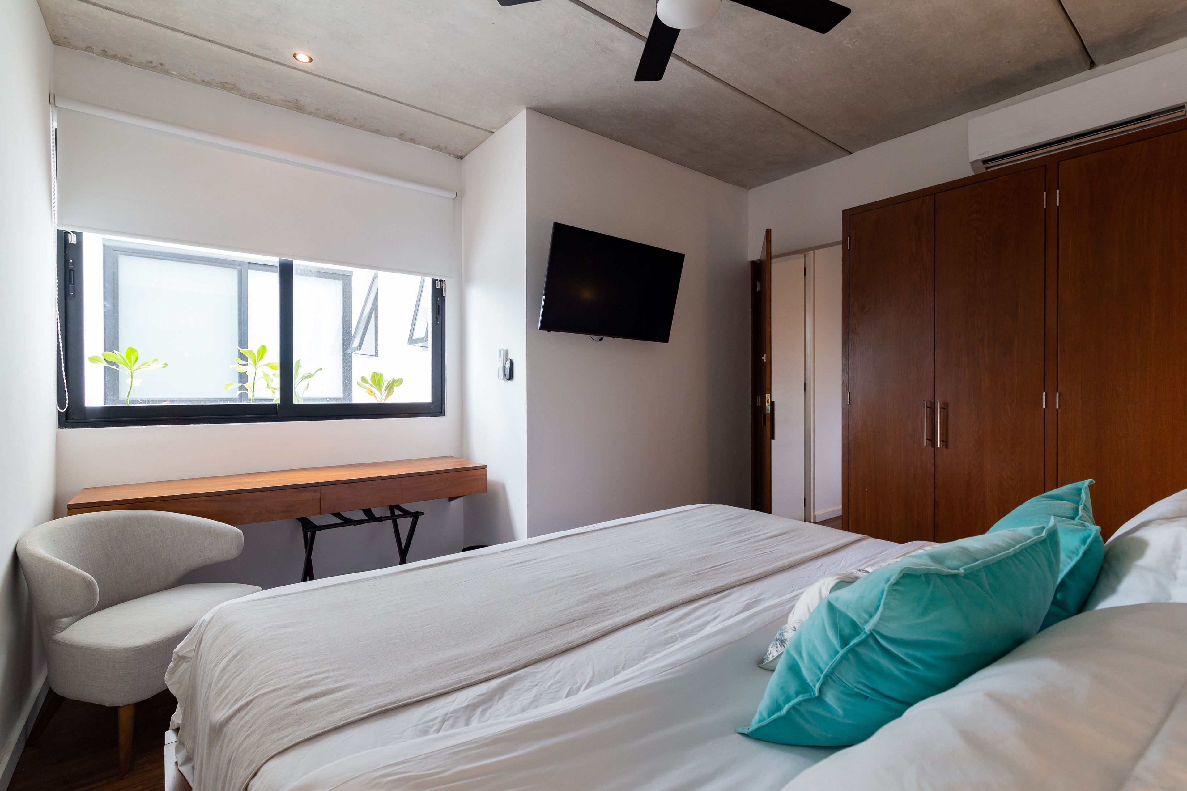 Areca by CocoBR