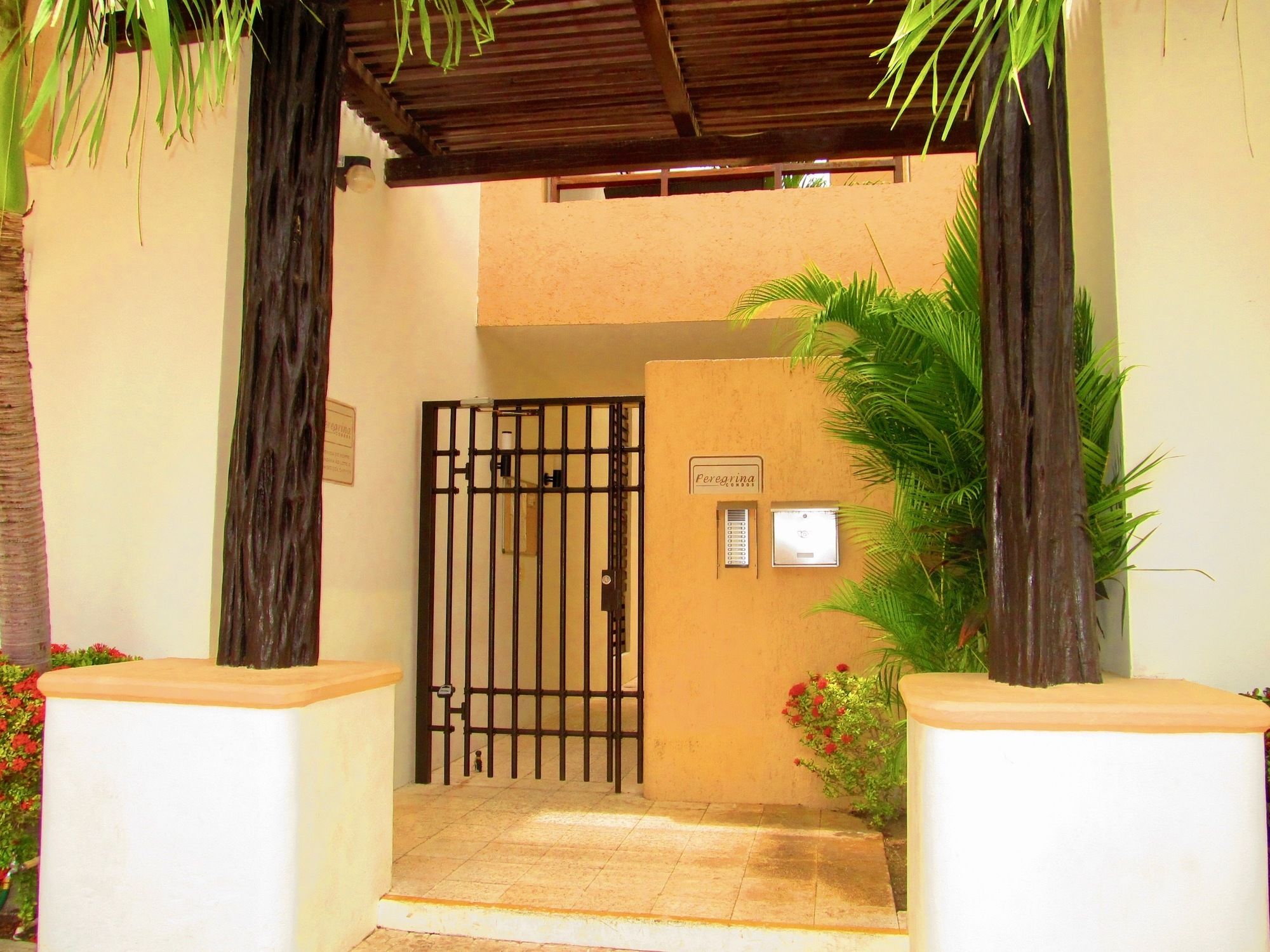 B&B Vida Nueva