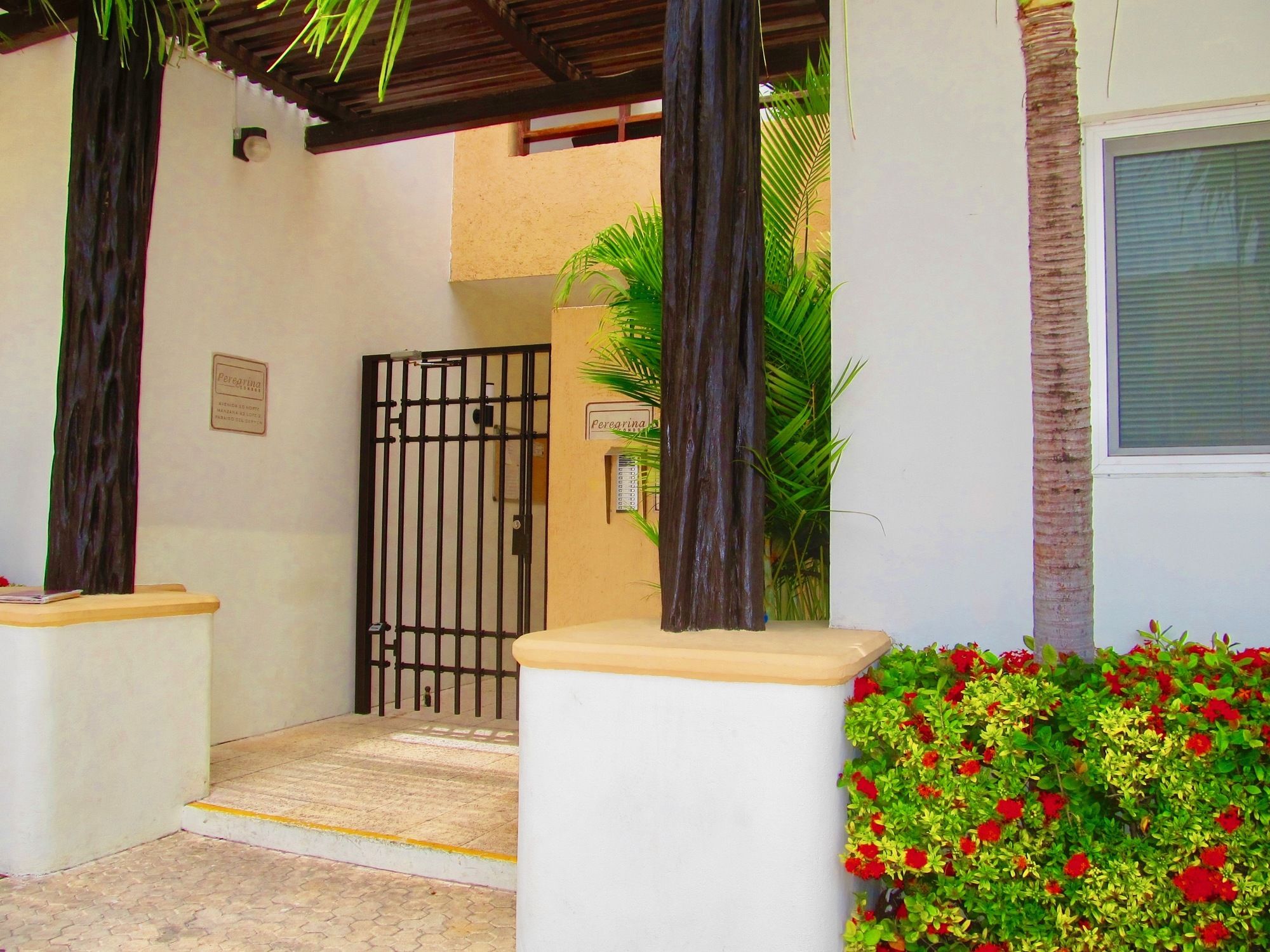 B&B Vida Nueva