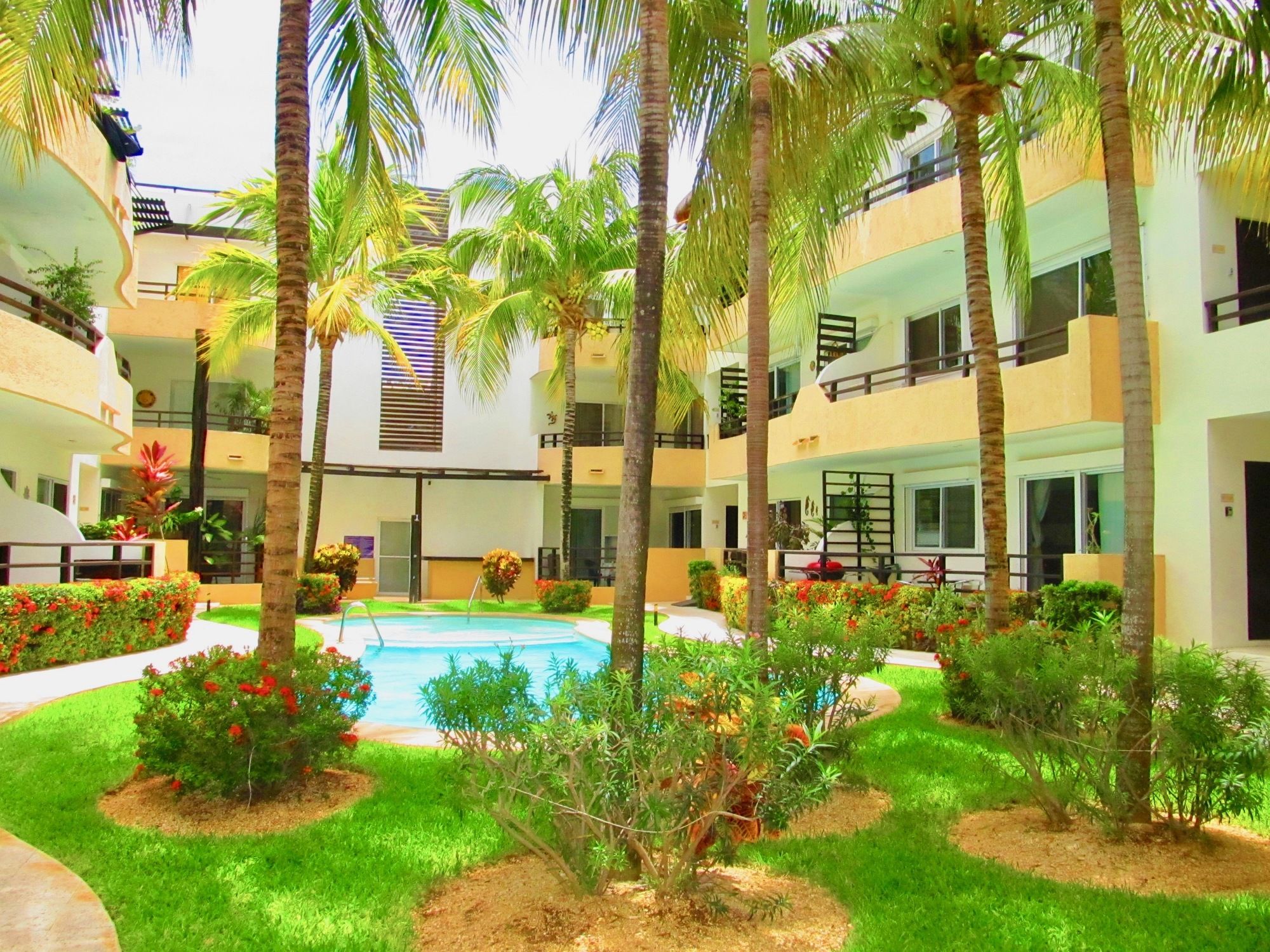 B&B Vida Nueva