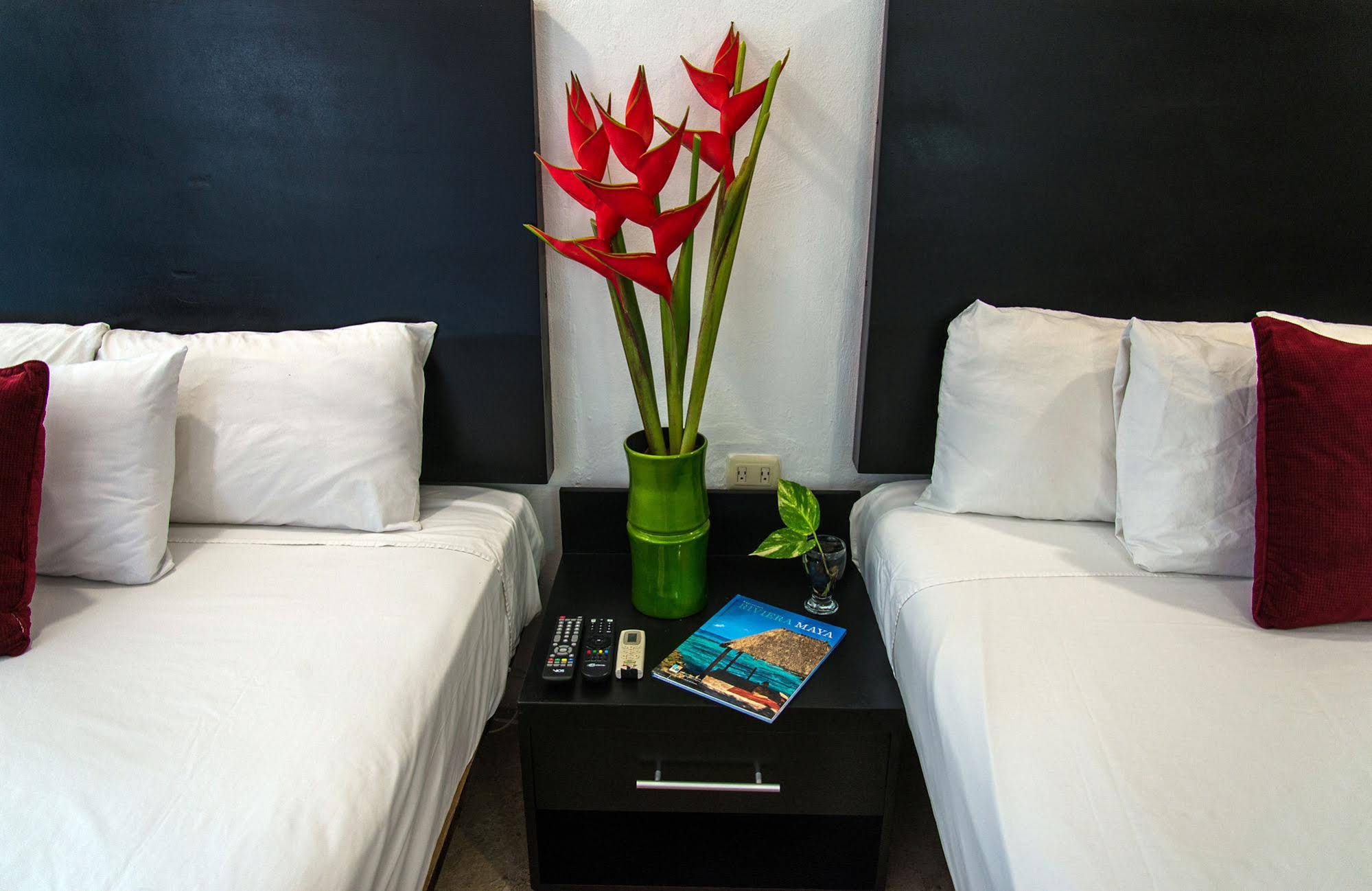 Blue Parrot 5th Avenue Hotel