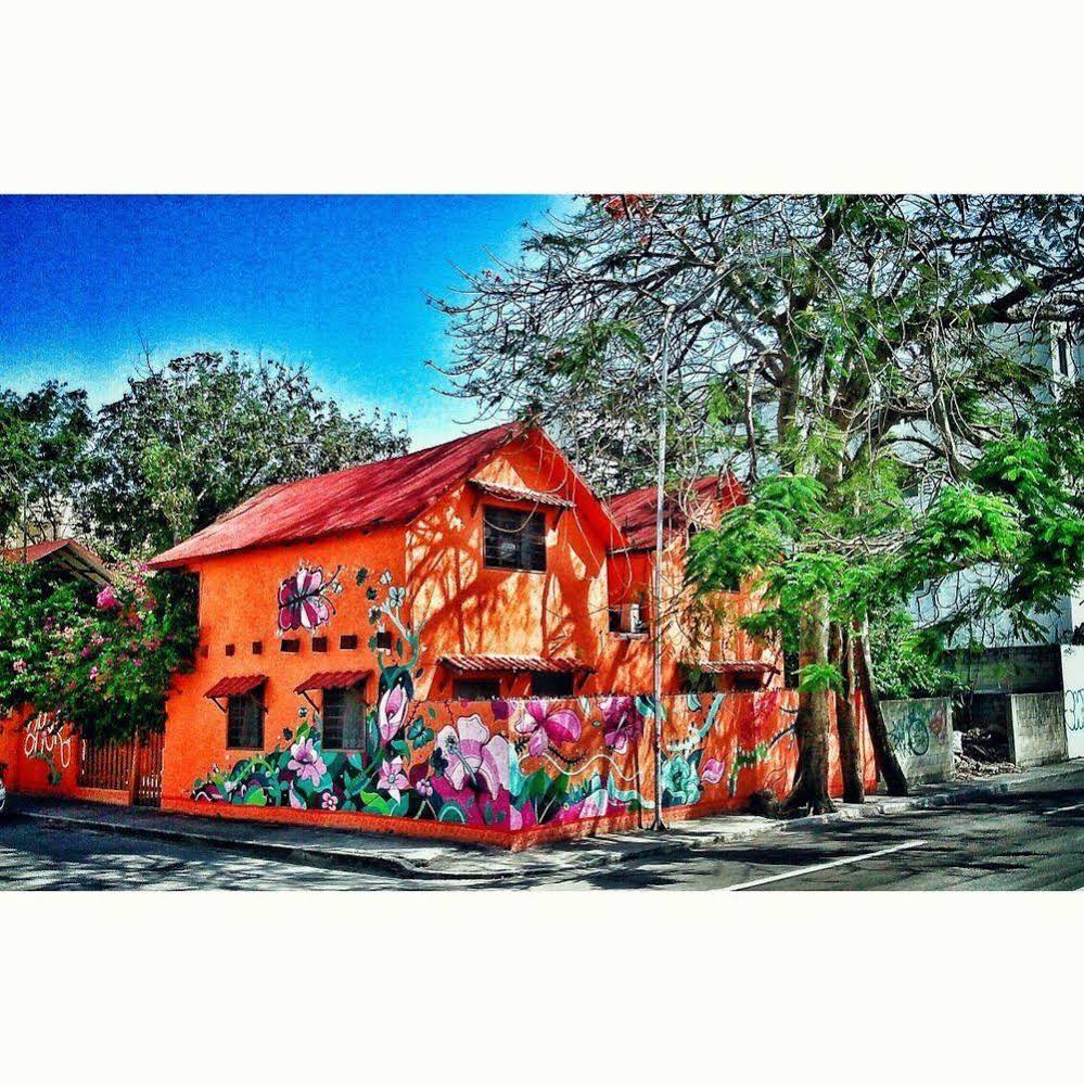 Casa Kiwi